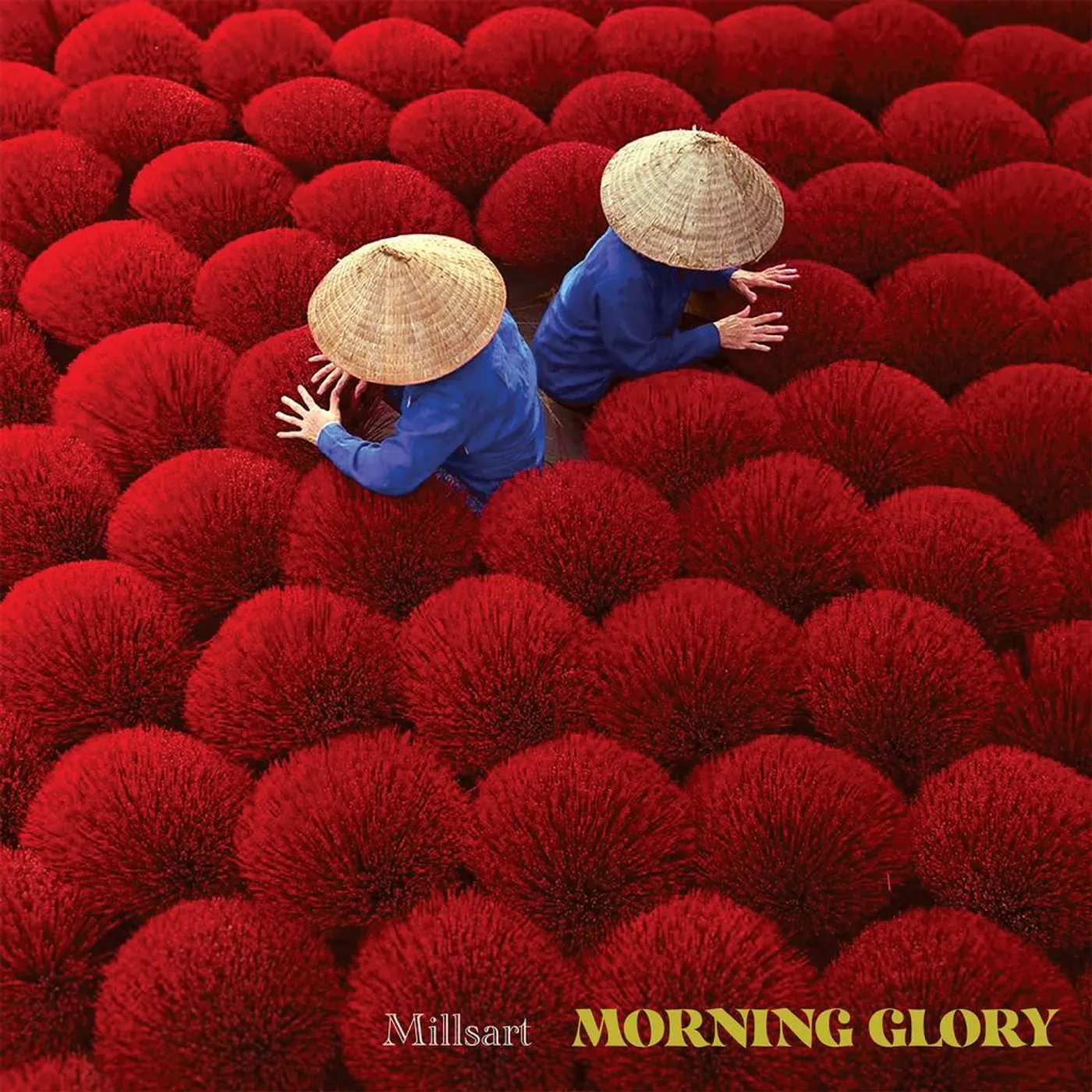 Millsart LP - Morning Glory (Vinyl)