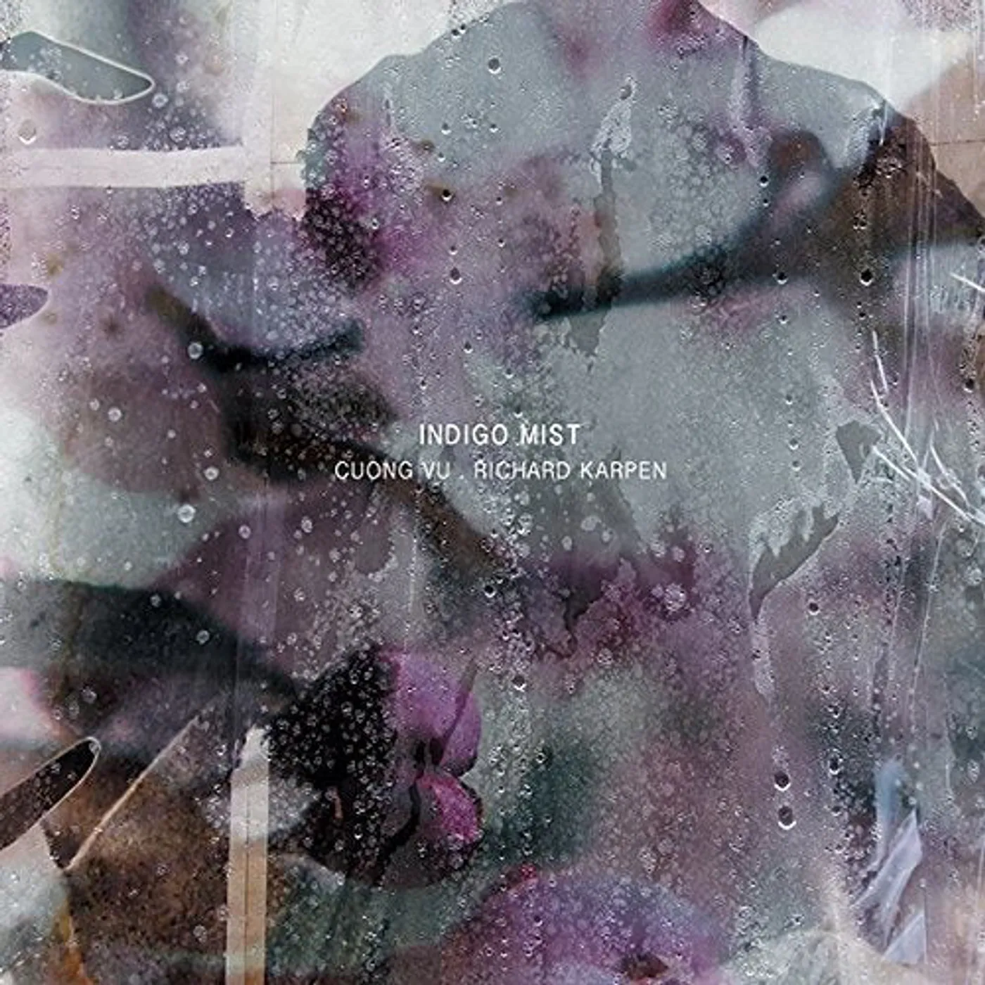 Indigo Mist LP - That The Days Go By And Never Come Again (Vinyl)