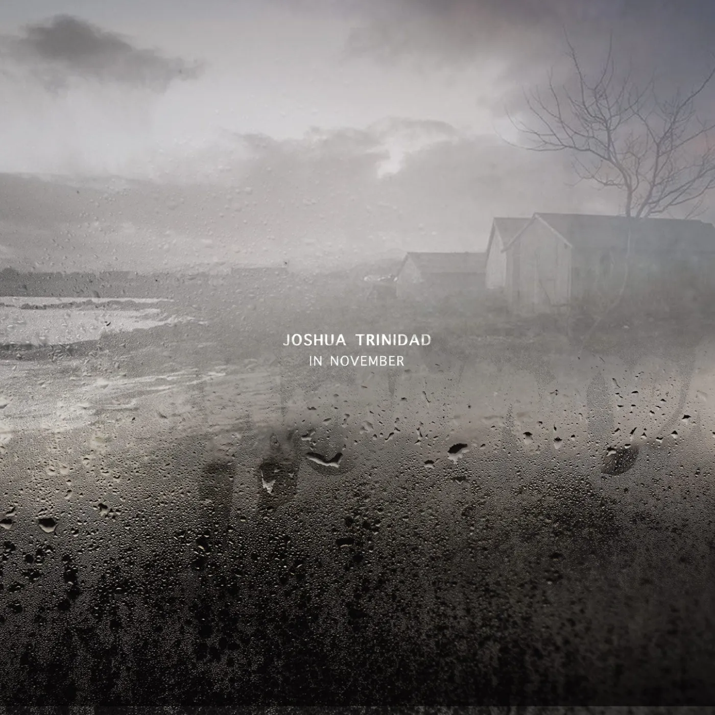 Joshua Trinidad LP - In November (Vinyl)