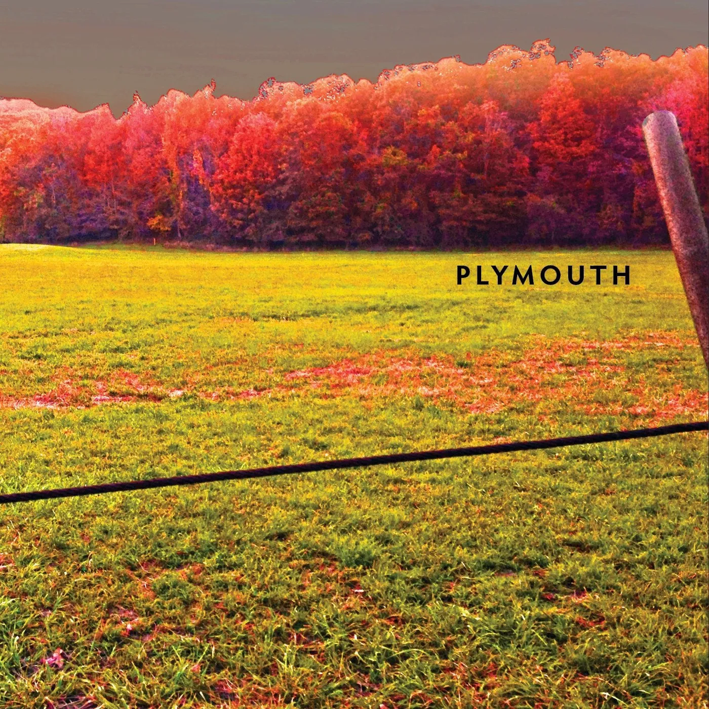 Plymouth LP - Plymouth (Vinyl)