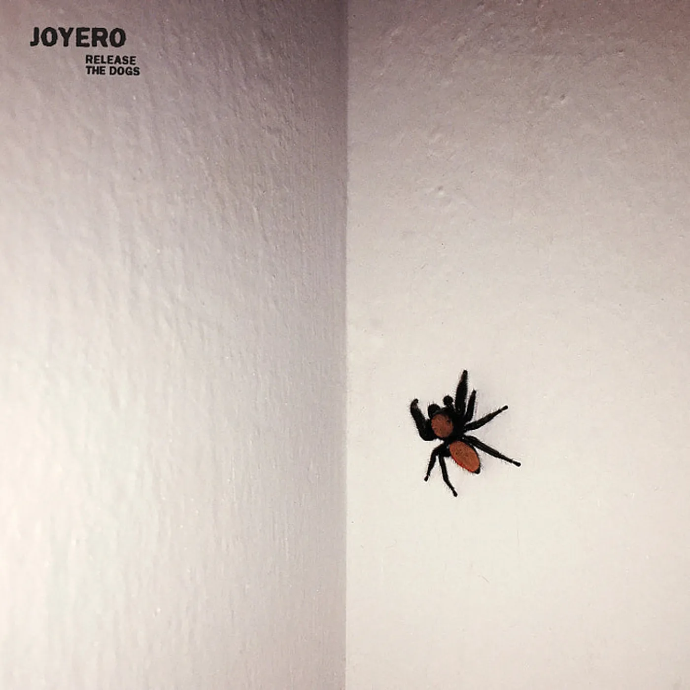 Joyero LP - Release The Dogs (Vinyl)