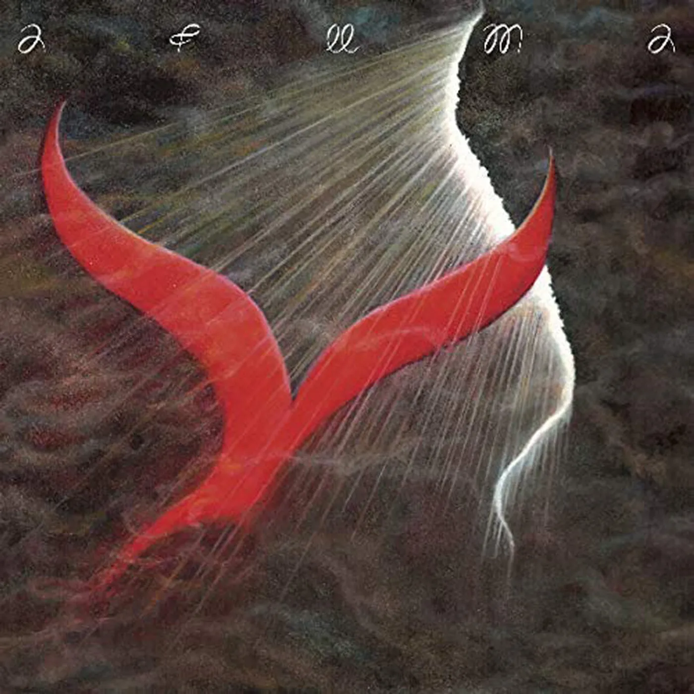 Afuma LP - Songs From The Shore (Vinyl)