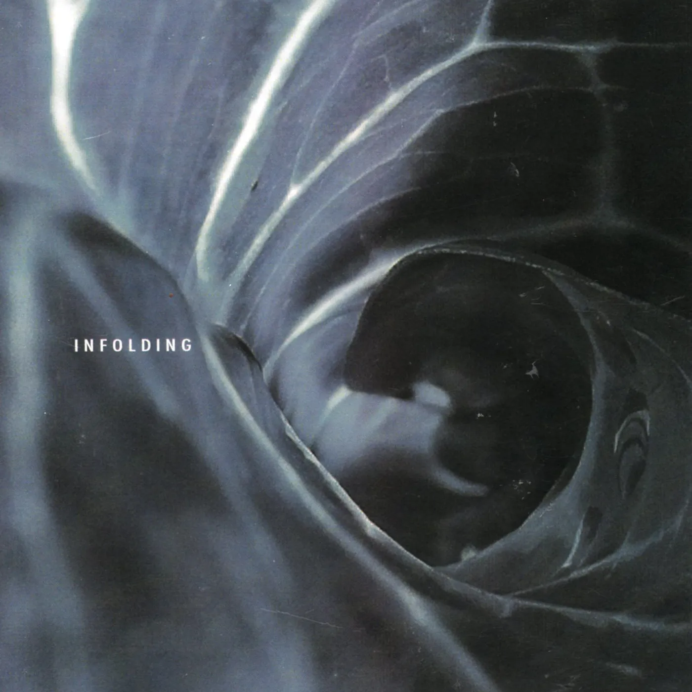 Spin Marvel LP - Infolding (Vinyl)