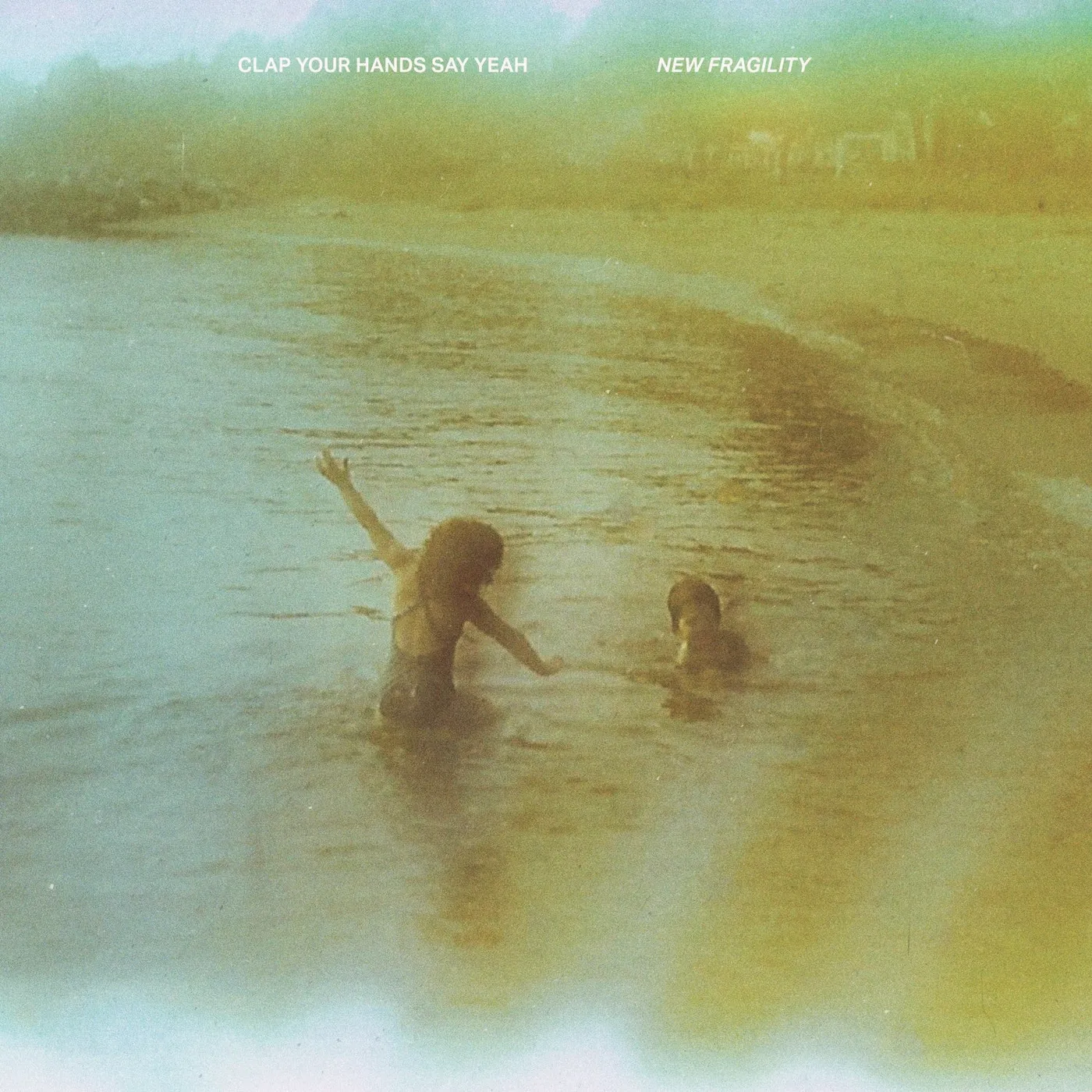 Clap Your Hands Say Yeah LP - New Fragility (Vinyl)