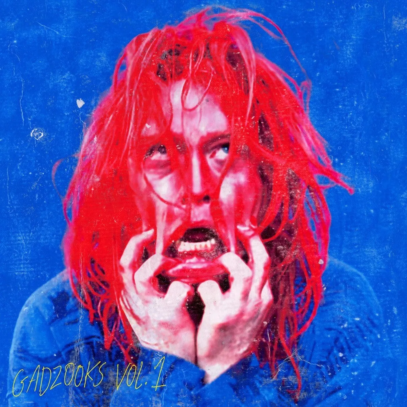 Caleb Landry Jones LP - Gadzooks Vol. 1 (Vinyl)