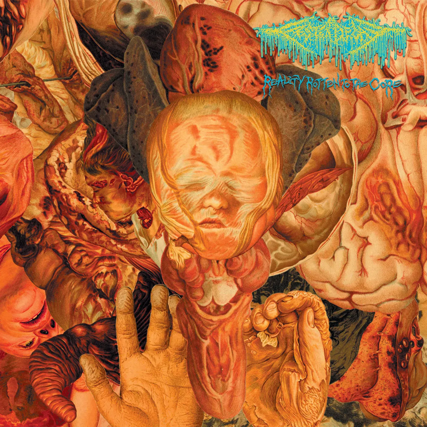 Festerdecay LP - Reality Rotten To The Core (Vinyl)