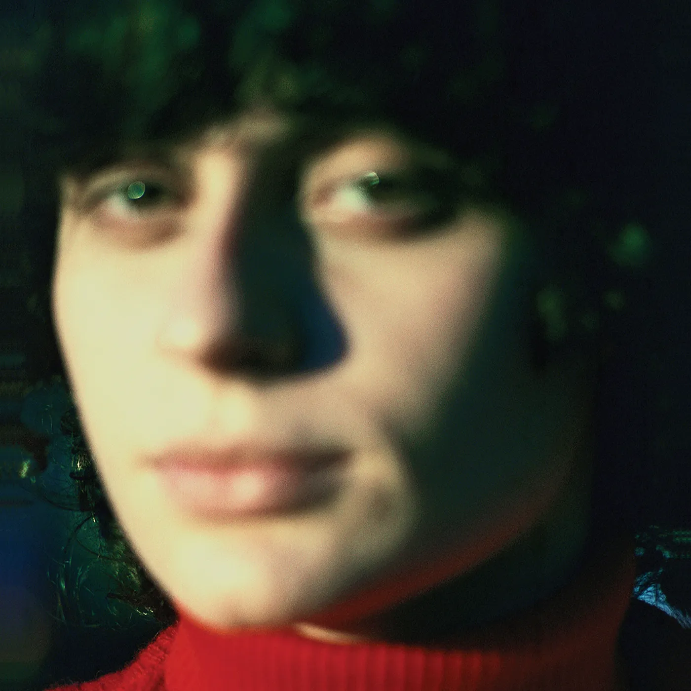 Ana Frango Elétrico LP - Little Electric Chicken Heart (Vinyl)