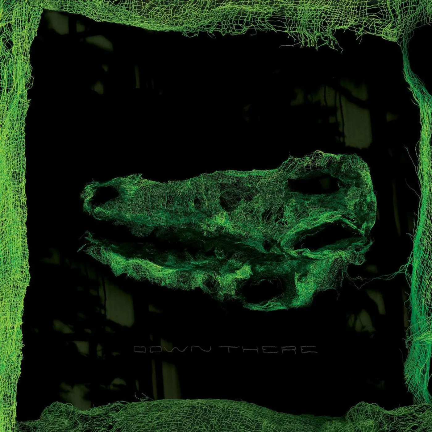 Avey Tare LP - Down There (Vinyl)