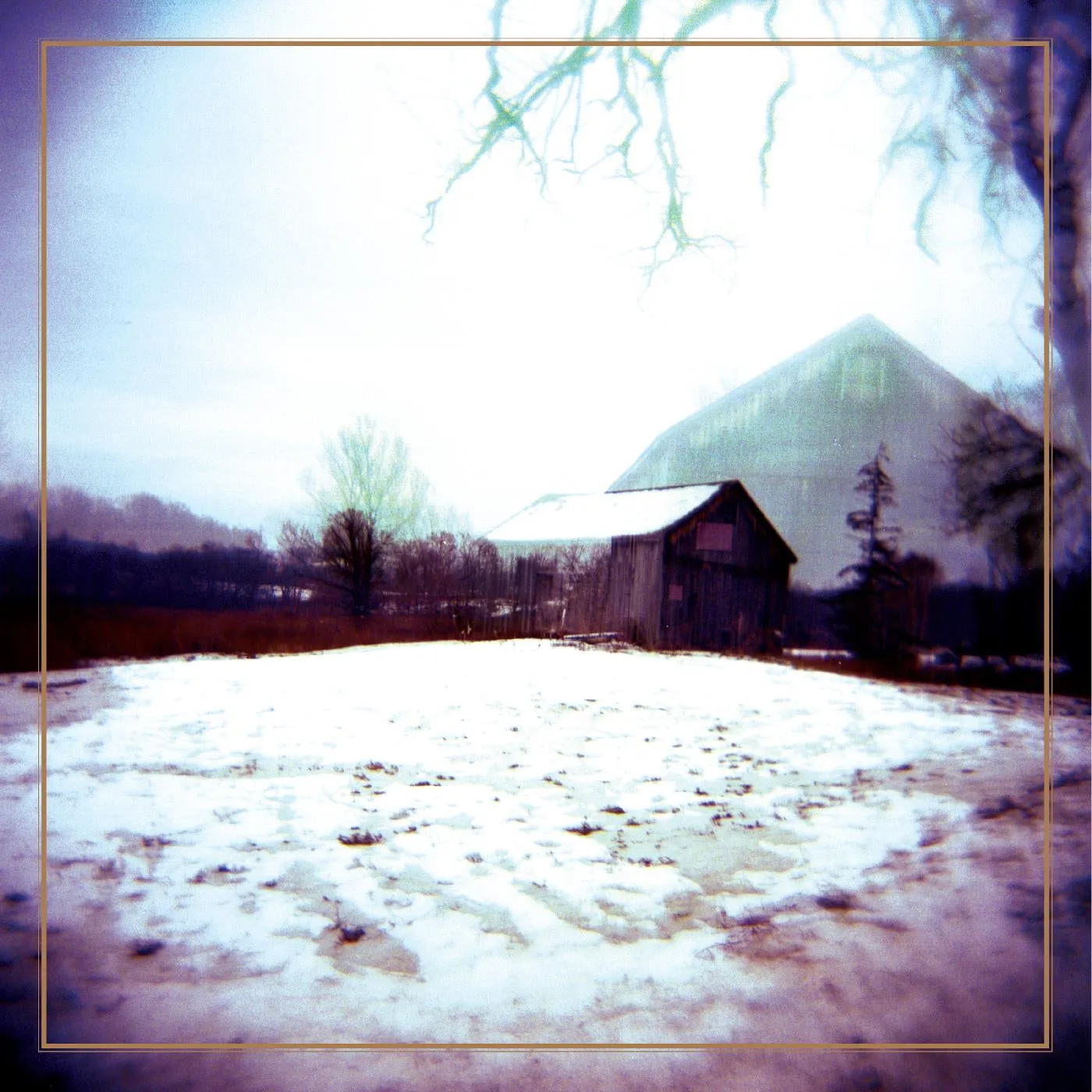 Horse Feathers LP - House With No Home (Deluxe Edition) (Vinyl)