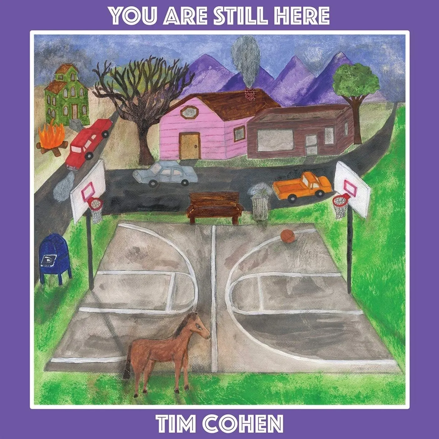 Tim Cohen LP - You Are Still Here (Vinyl)