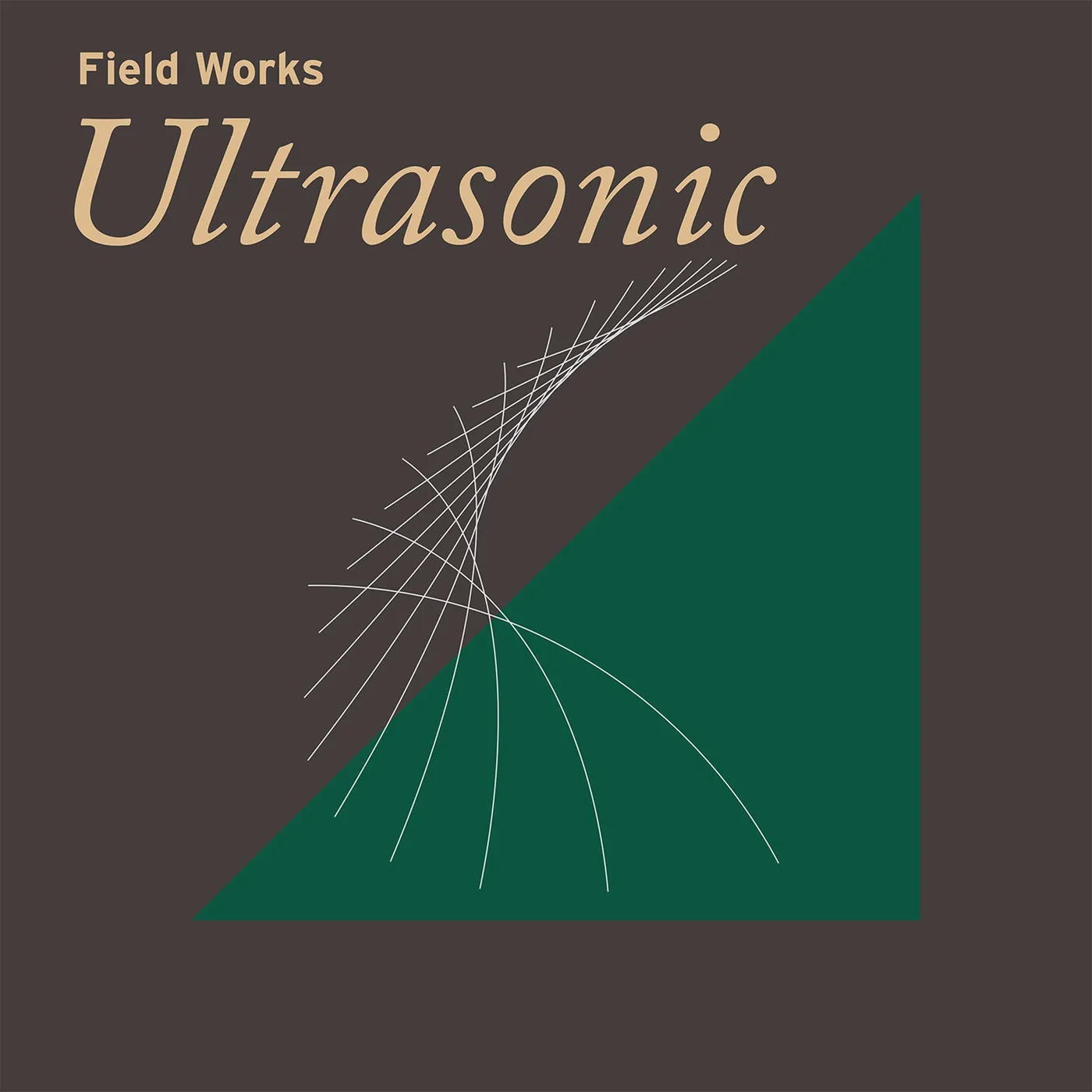 Field Works LP - Ultrasonic (Vinyl)
