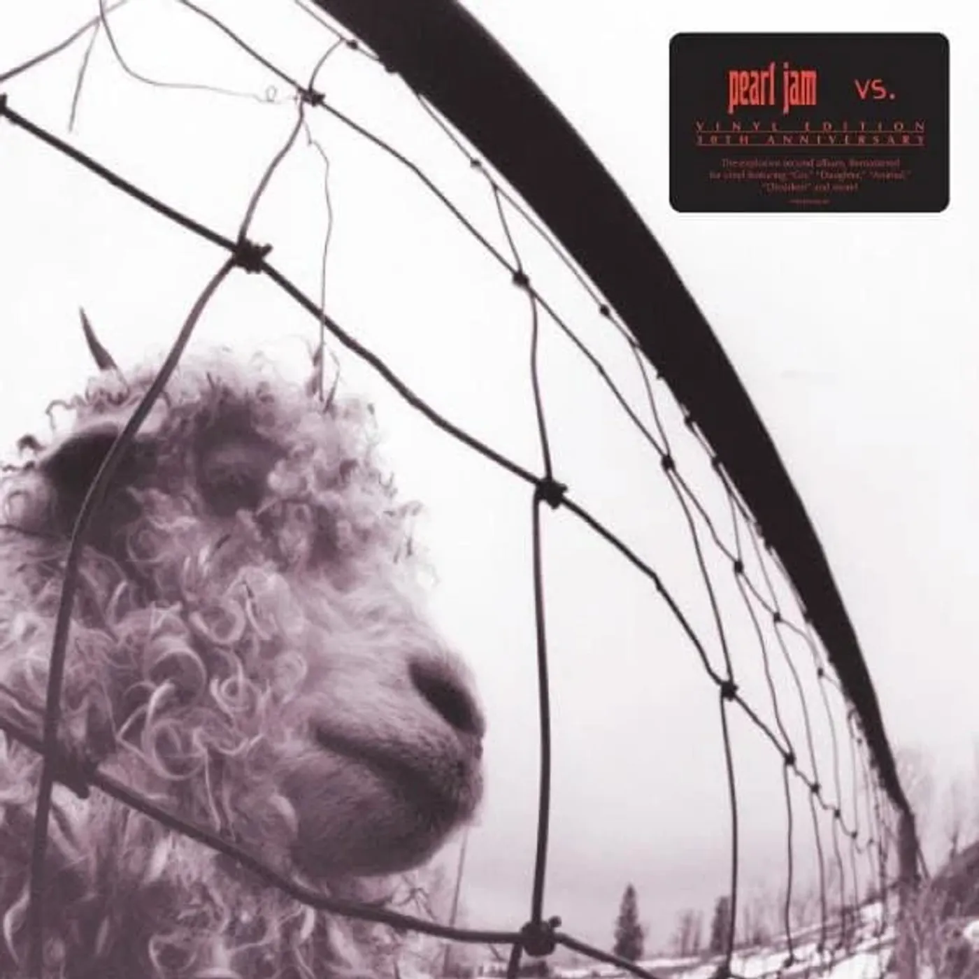 Pearl Jam LP - Vs (30Th Anniversary Edition) (Clear Vinyl)