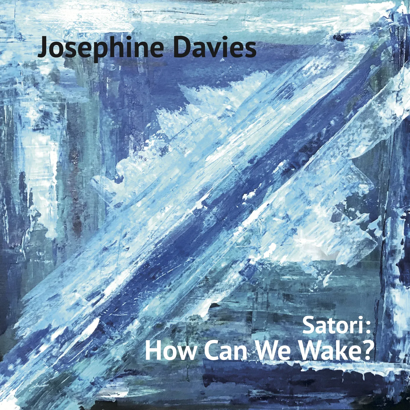 Josephine Davies LP - Satori: How Can We Wake? (Vinyl)