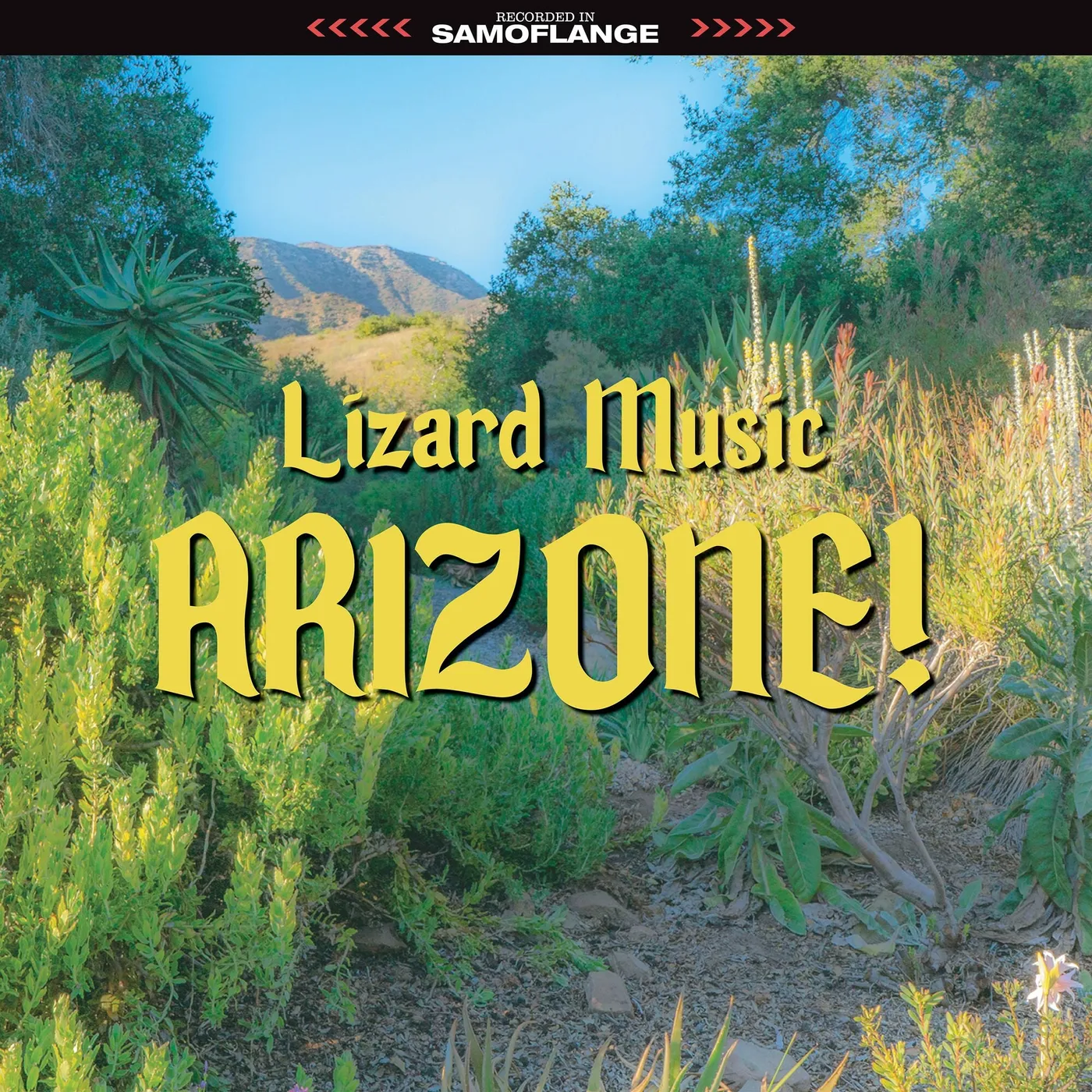Lizard Music LP - Arizone! (Vinyl)