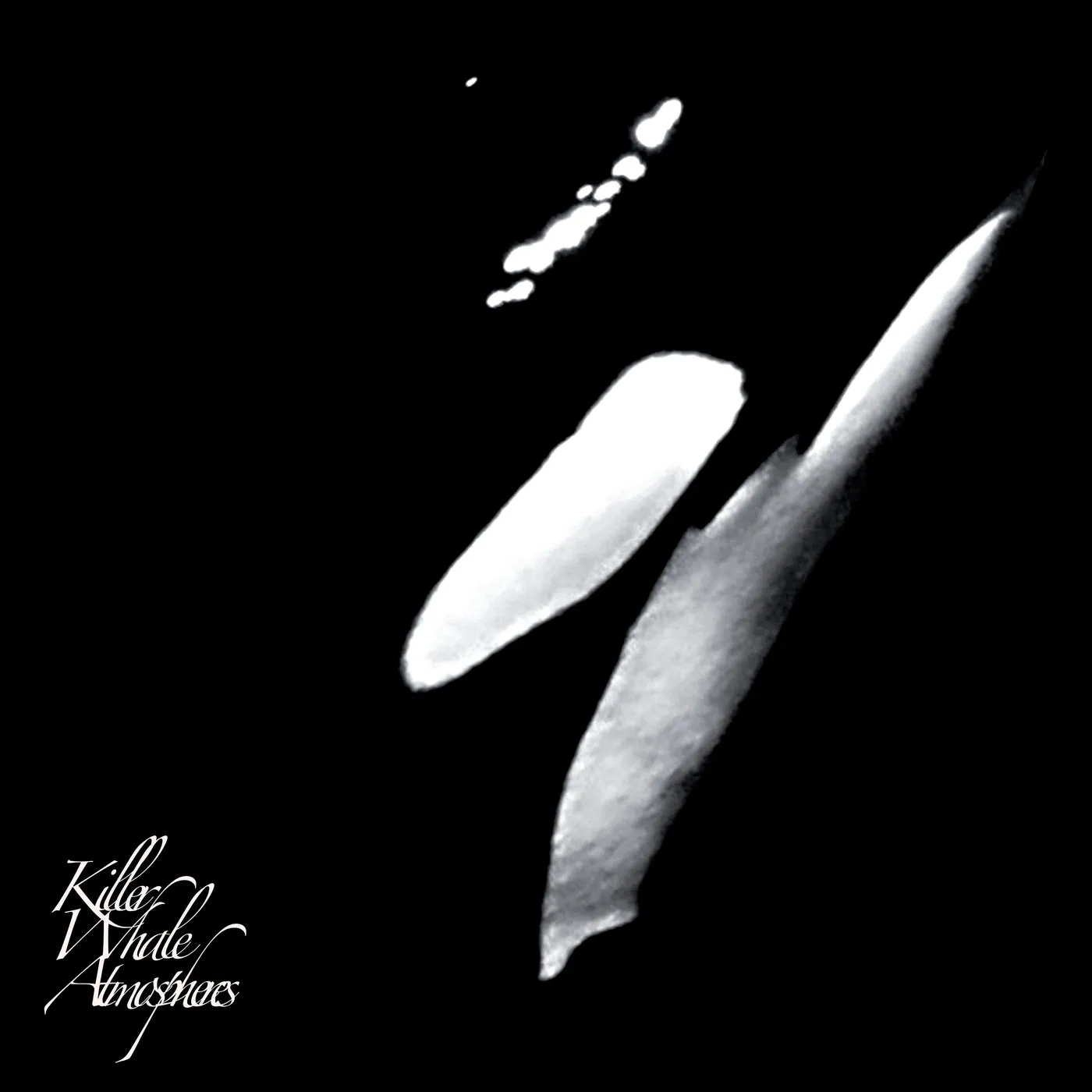 Rainforest Spiritual Enslavement LP - Killer Whale Atmospheres (Vinyl)