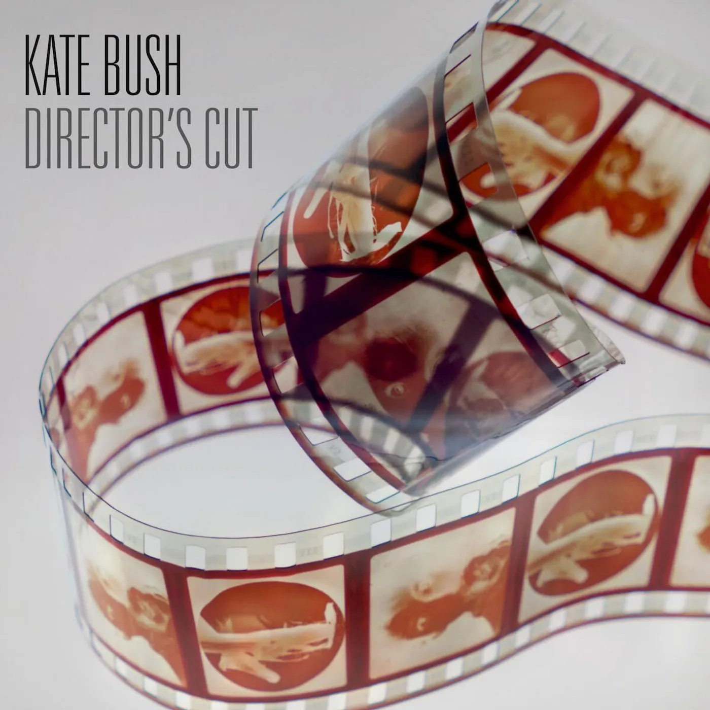 Kate Bush LP - Director'S Cut (2018 Remaster) (Hazy Red Vinyl) (Indies Only)