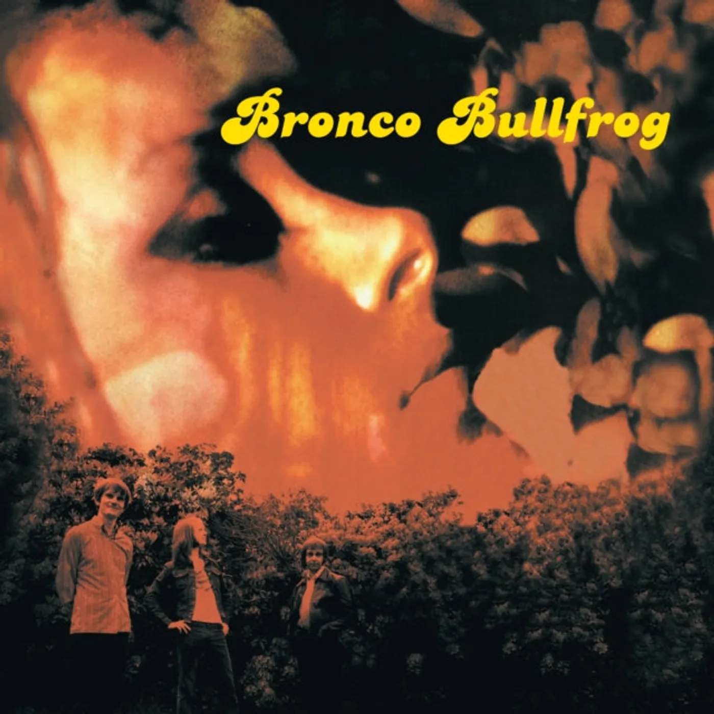 Bronco Bullfrog LP Vinyl Record - Bronco Bullfrog