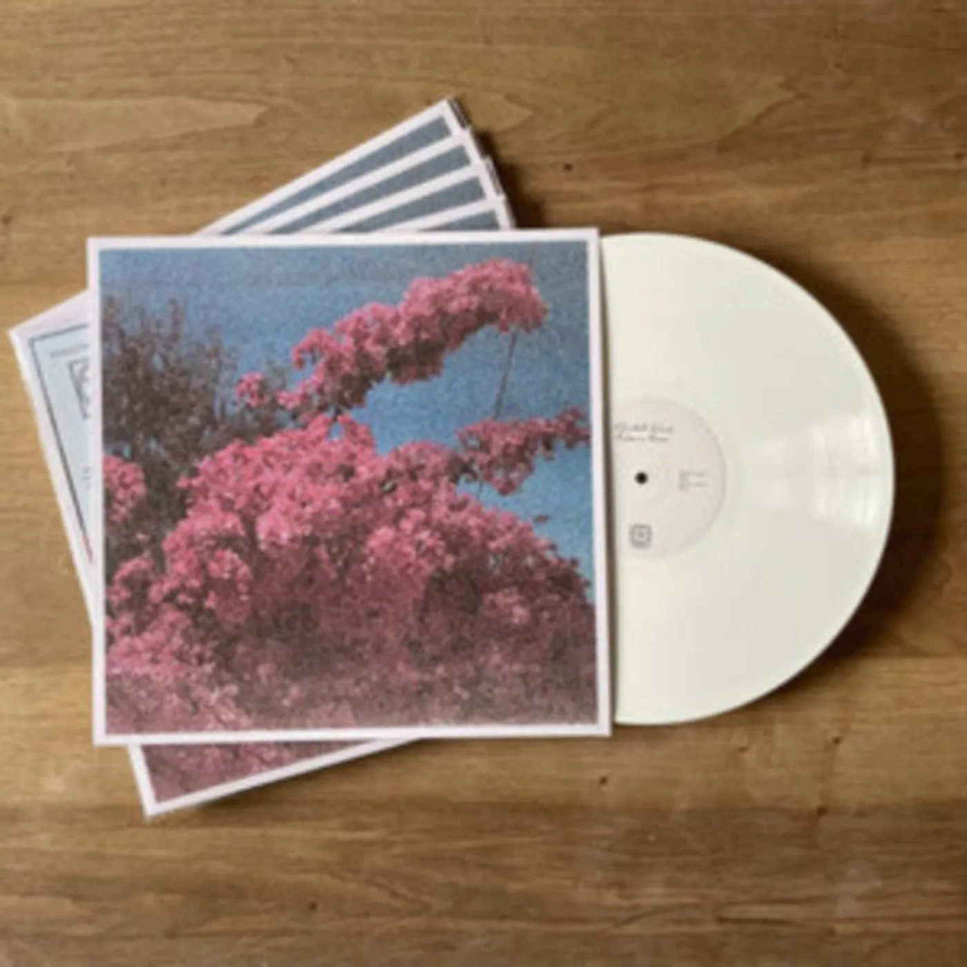 Elisabeth Klinck LP - Picture A Frame (Vinyl)
