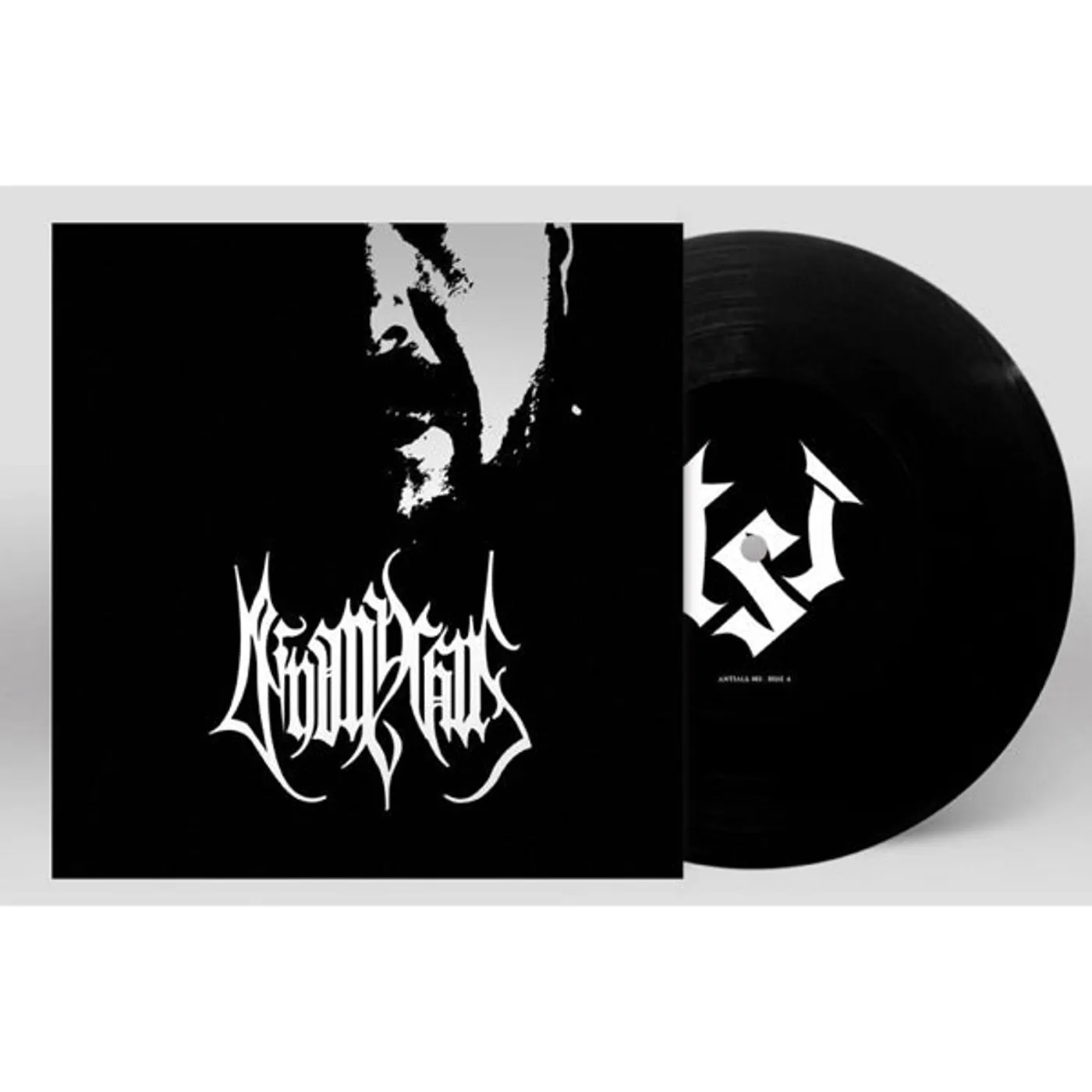 Deinonychus LP - The Audial Representation Of Misery And Despair (Vinyl)