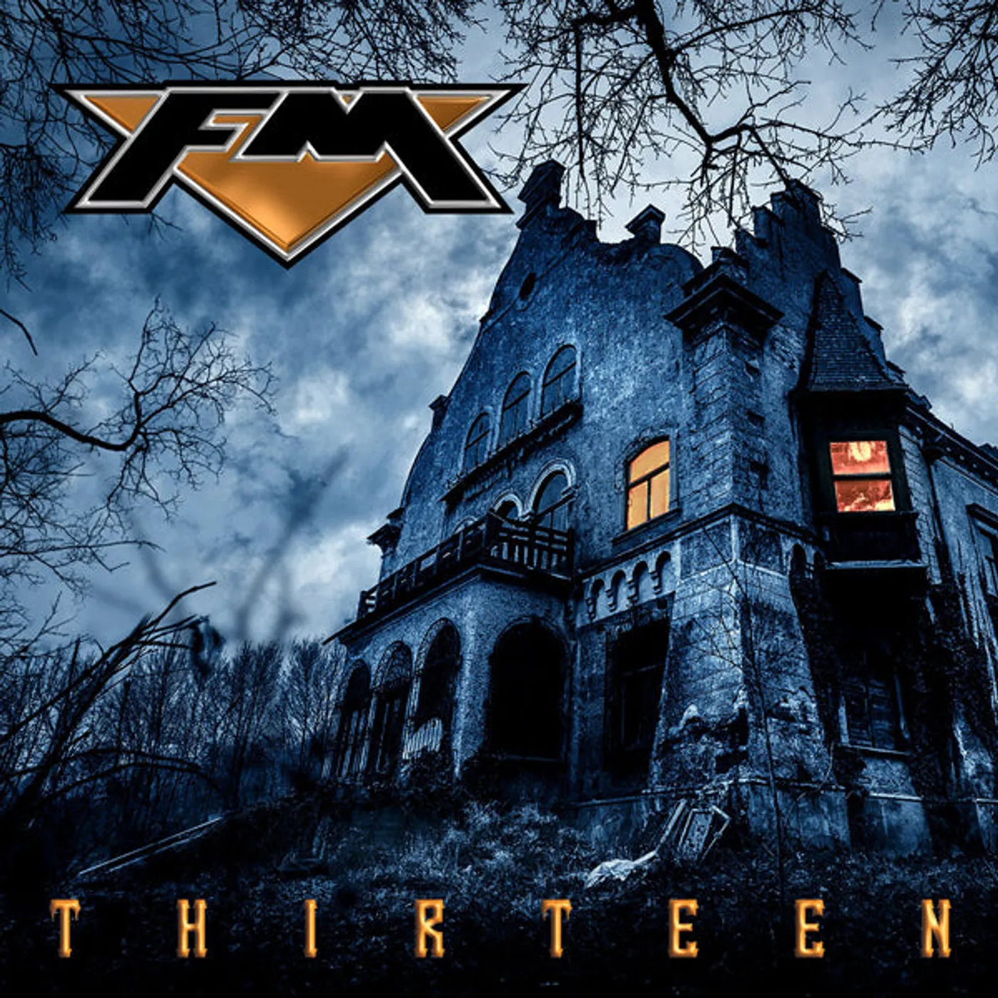 FM LP - Thirteen (2lp) (Gold Vinyl)