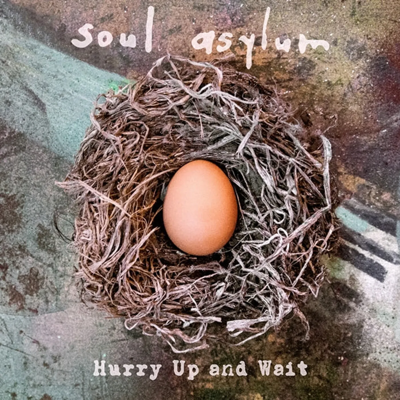 Soul Asylum LP - Hurry Up And Wait (2lp) (Vinyl)