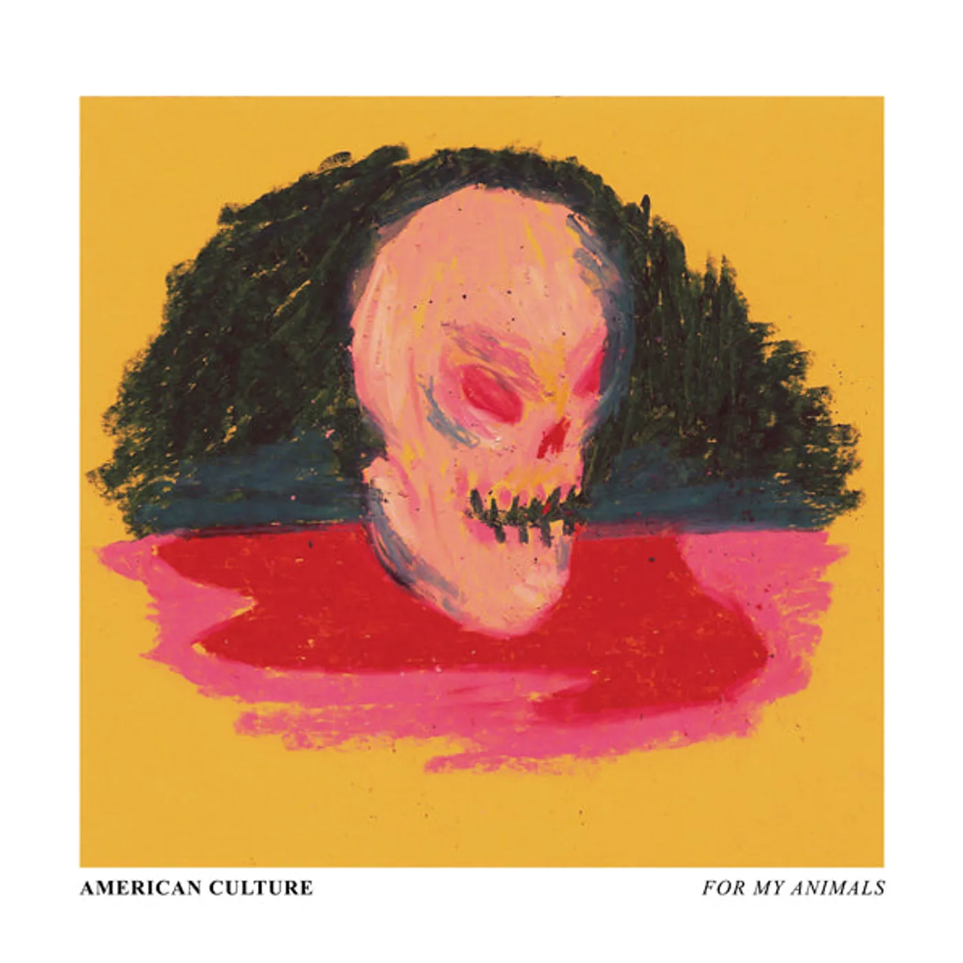 American Culture LP - For My Animals (Vinyl)