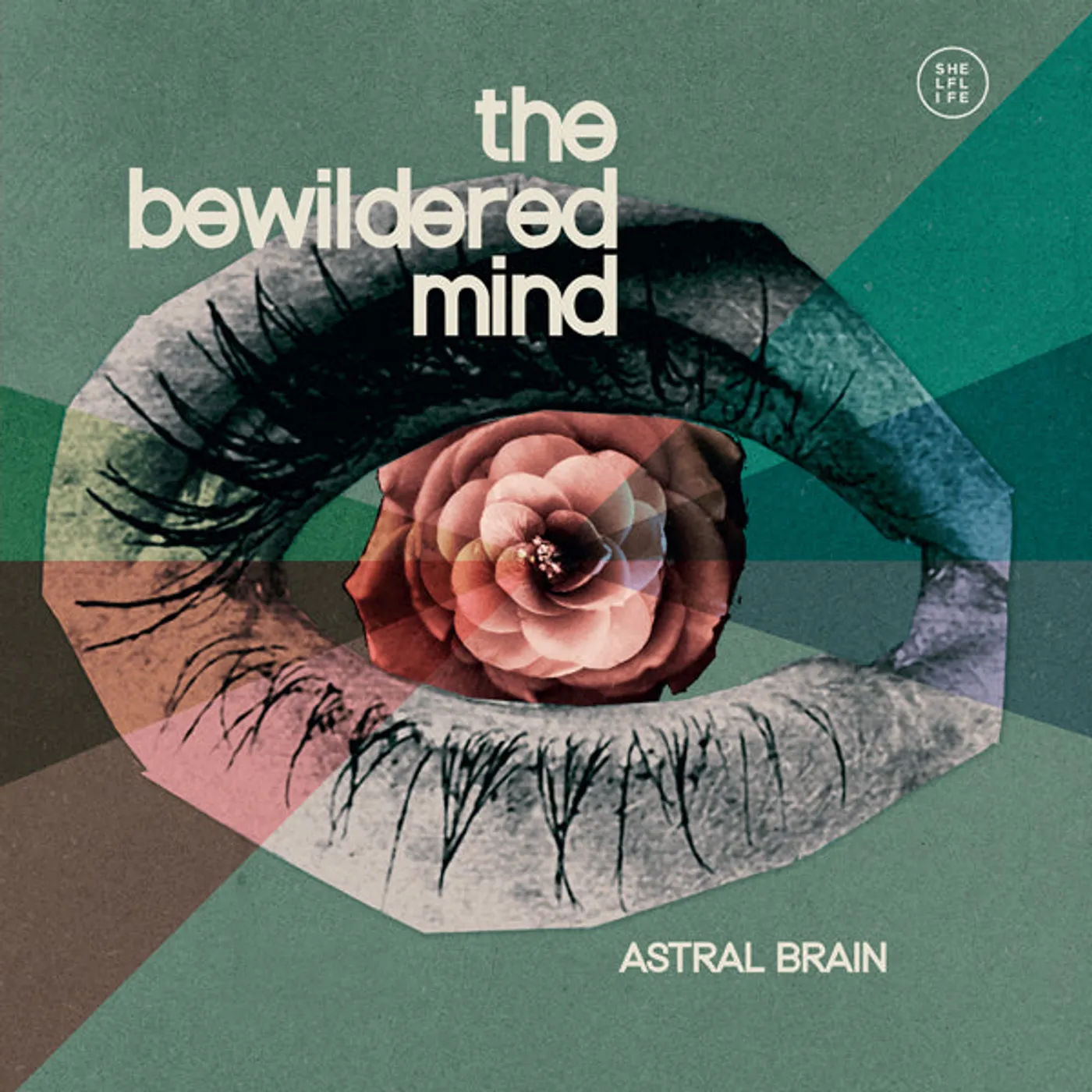 Astral Brain LP - The Bewildered Mind (Vinyl)