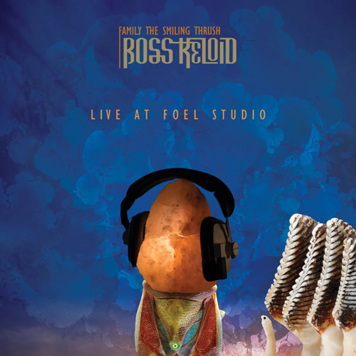 Boss Keloid LP - Family The Smiling Thrush: Live At Foel Studio (Lp+Dvd) (Vinyl)