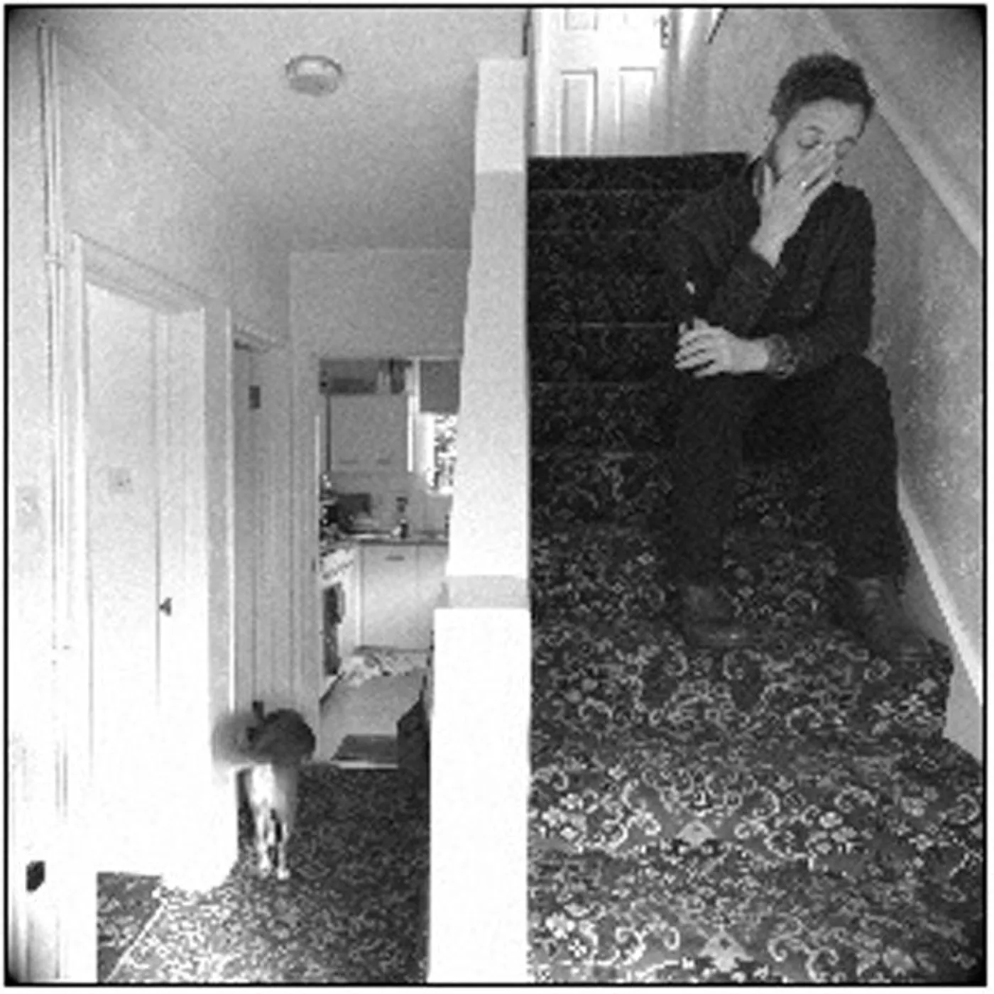 D L Burdon LP - Accidental Aesop (Vinyl)