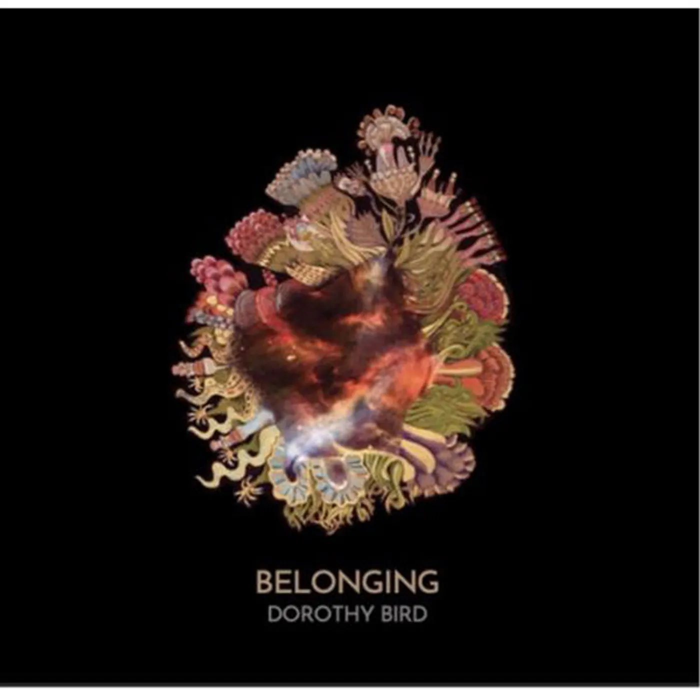 Dorothy Bird LP - Belonging (Vinyl)