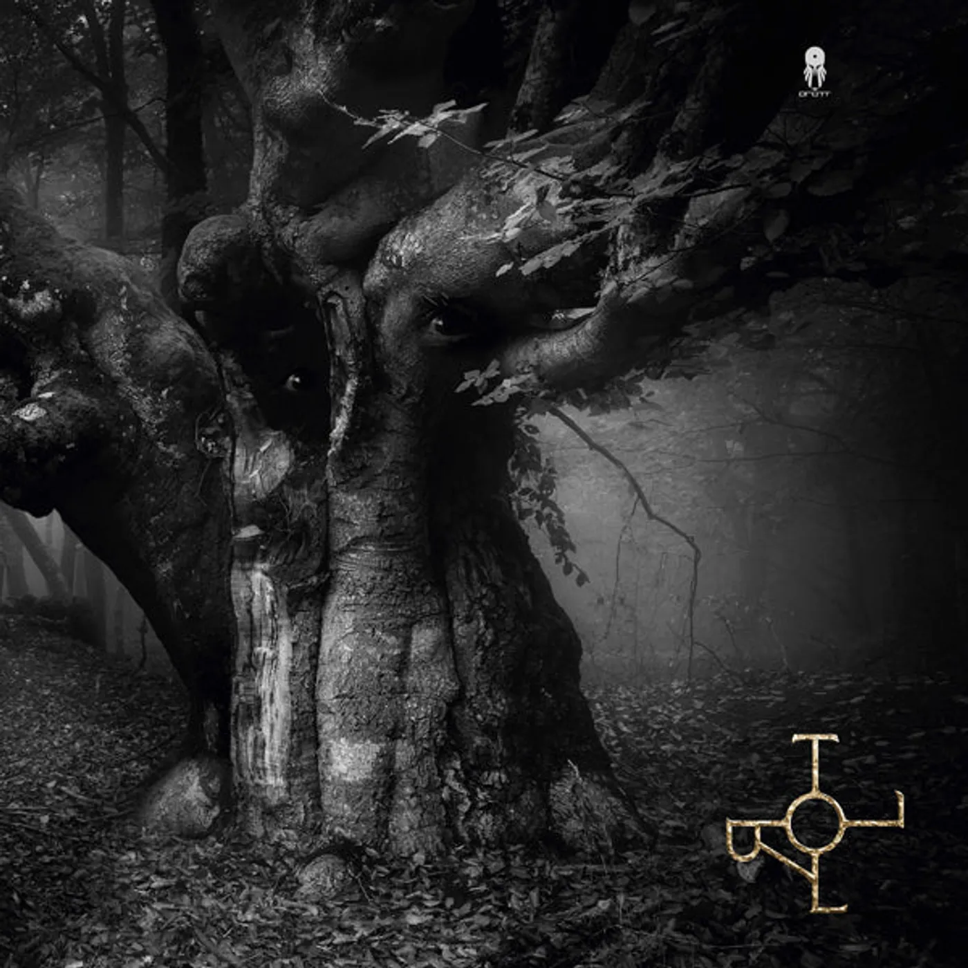 Drott LP - Troll (Vinyl)