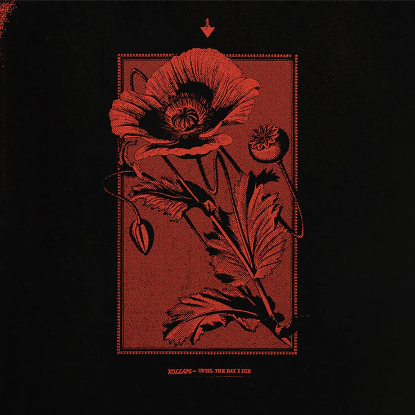 Kollaps LP - Until The Day I Die (Vinyl)