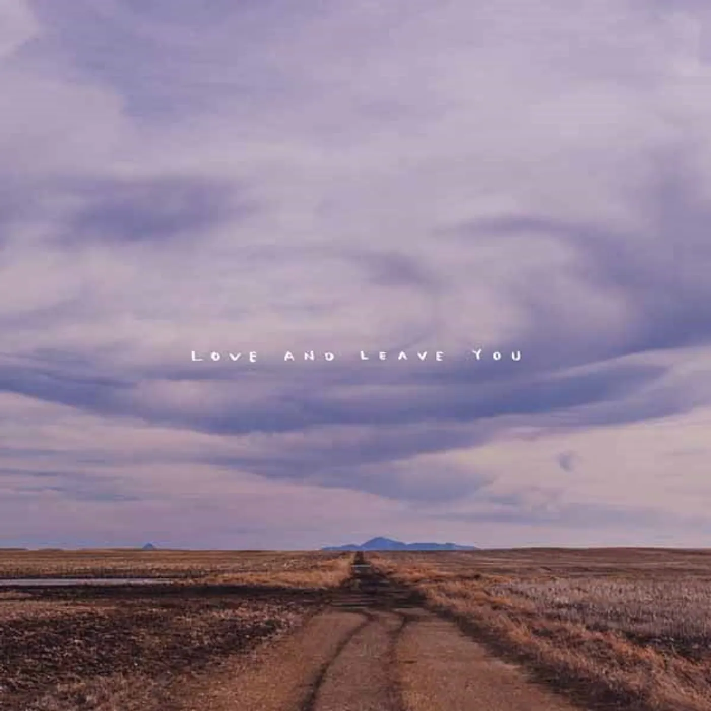 100 mile house LP - Love And Leave You (Vinyl)