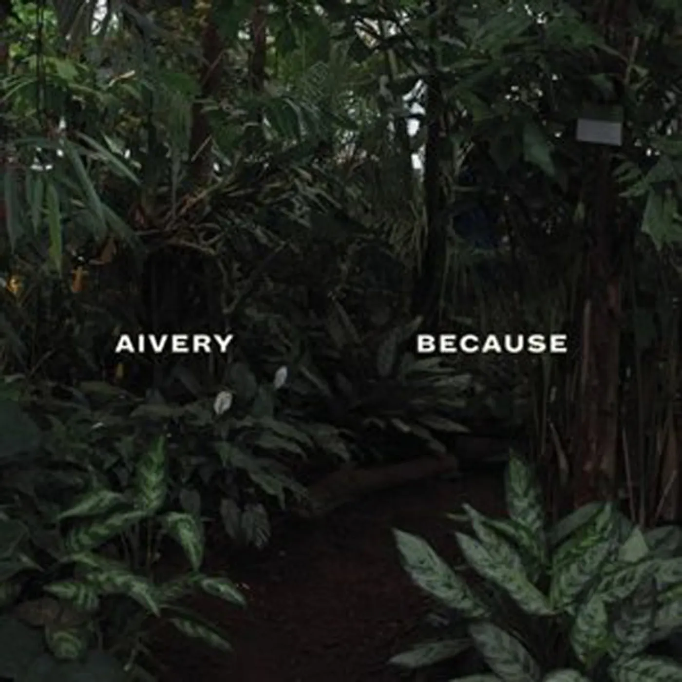 Aivery LP - Because (Vinyl)