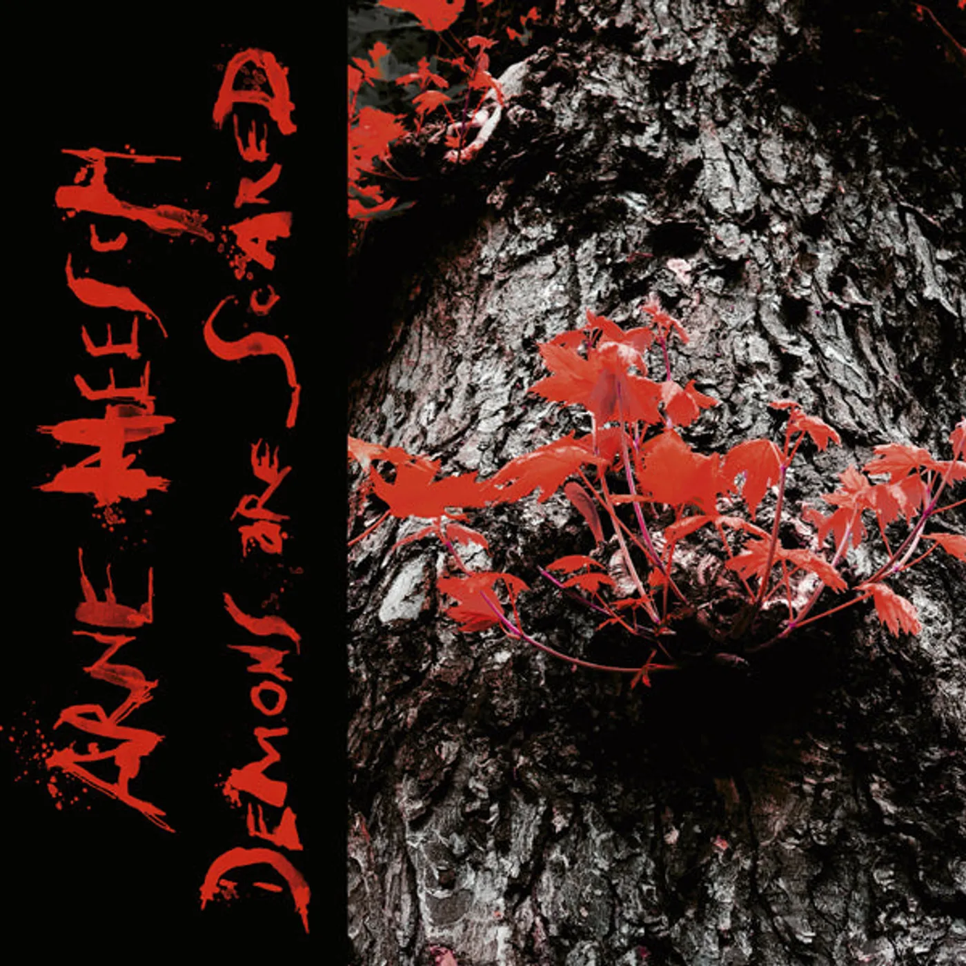 Arne Heesch LP - Demons Are Scared (Lp+Cd)