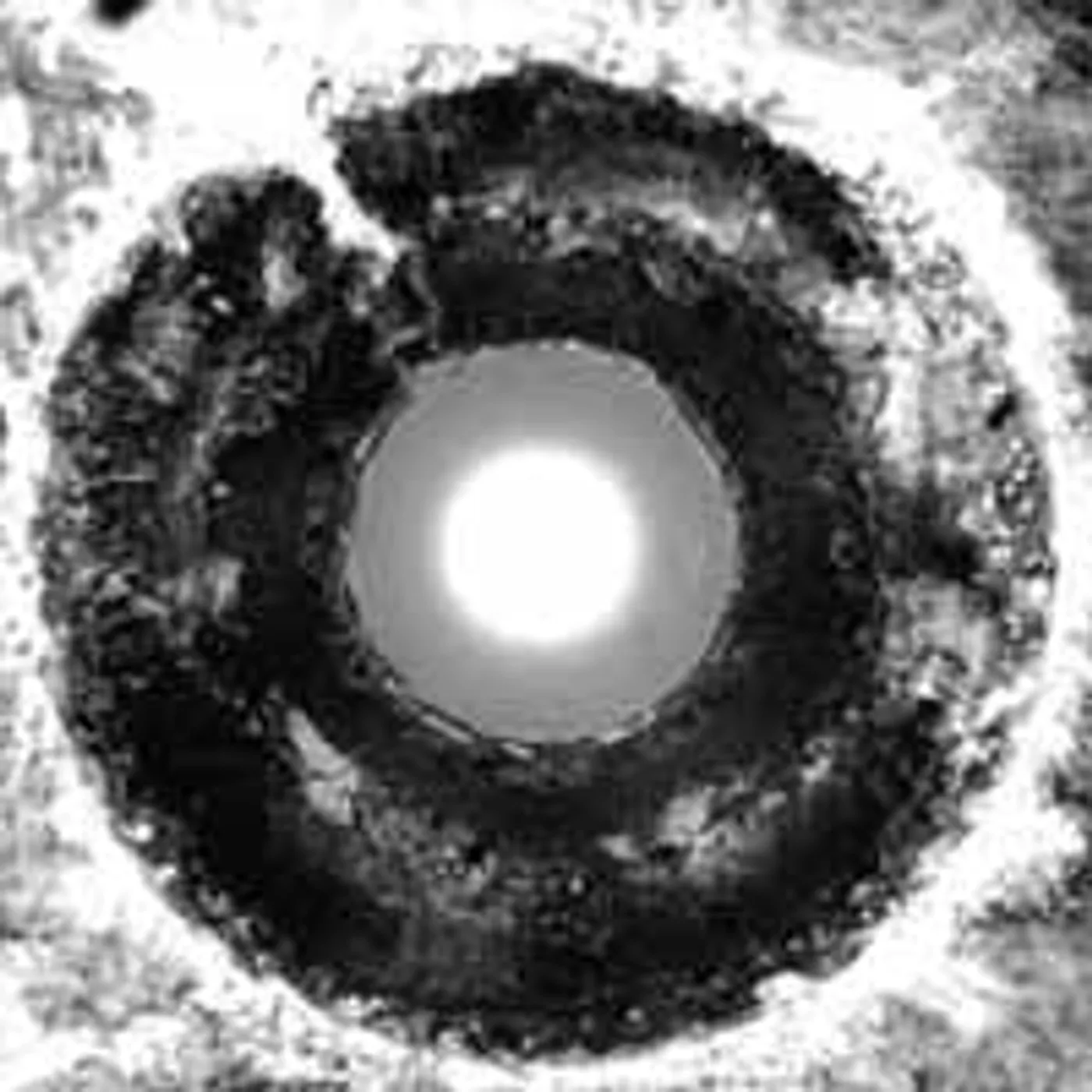 Bastards Of Fate LP - Suck The Light Out (Vinyl)