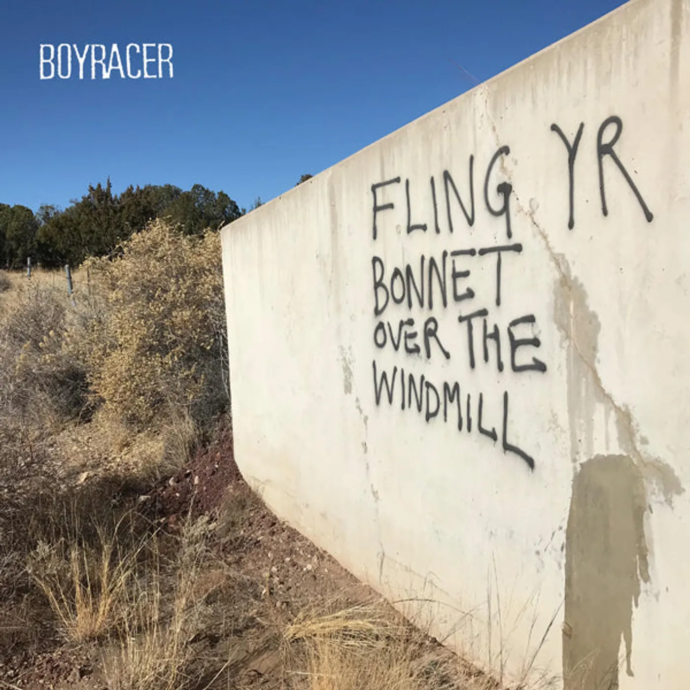 Boyracer LP - Fling Yr Bonnet Over The Windmill (Vinyl)