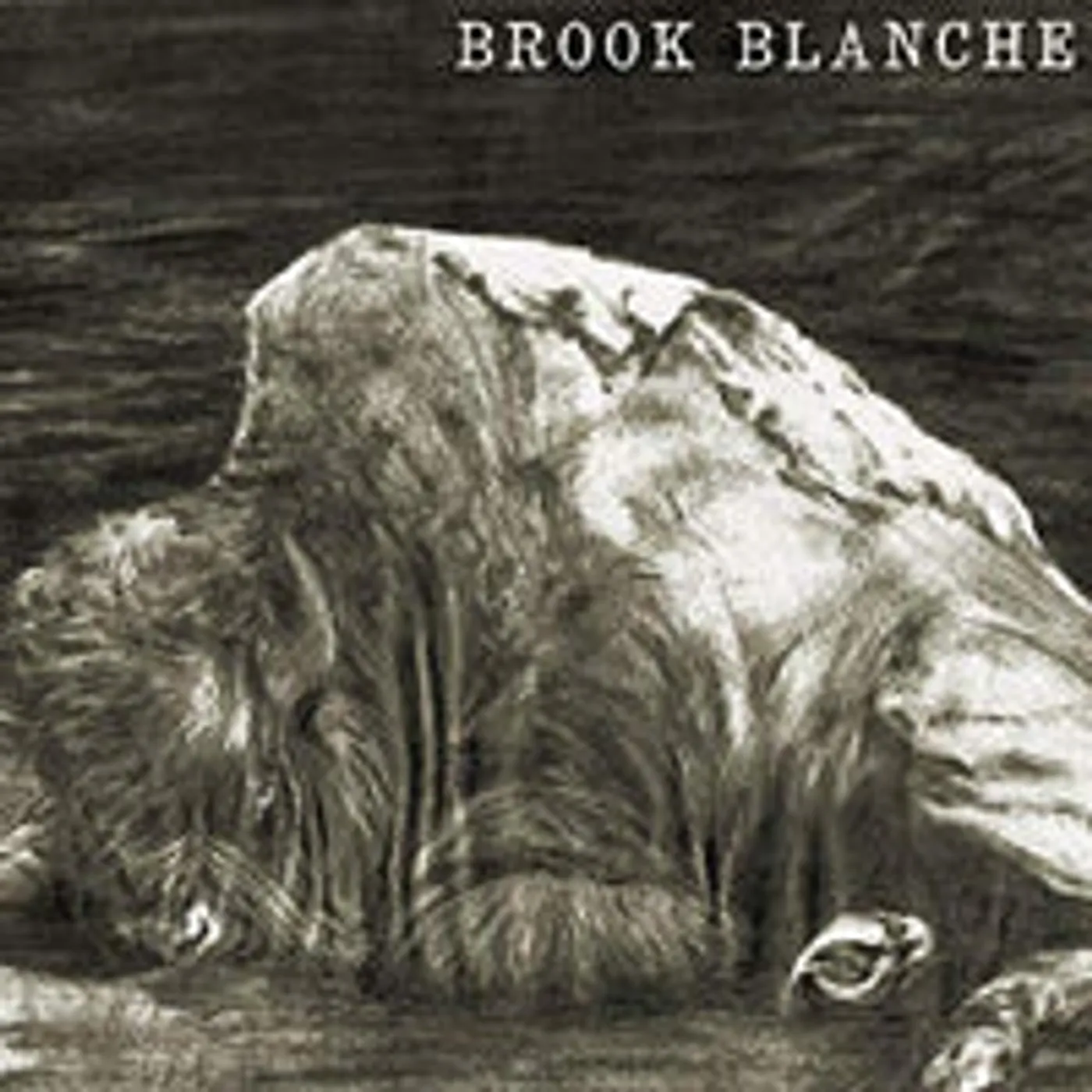 Brook Blanche LP - Brook Blanche (Vinyl)