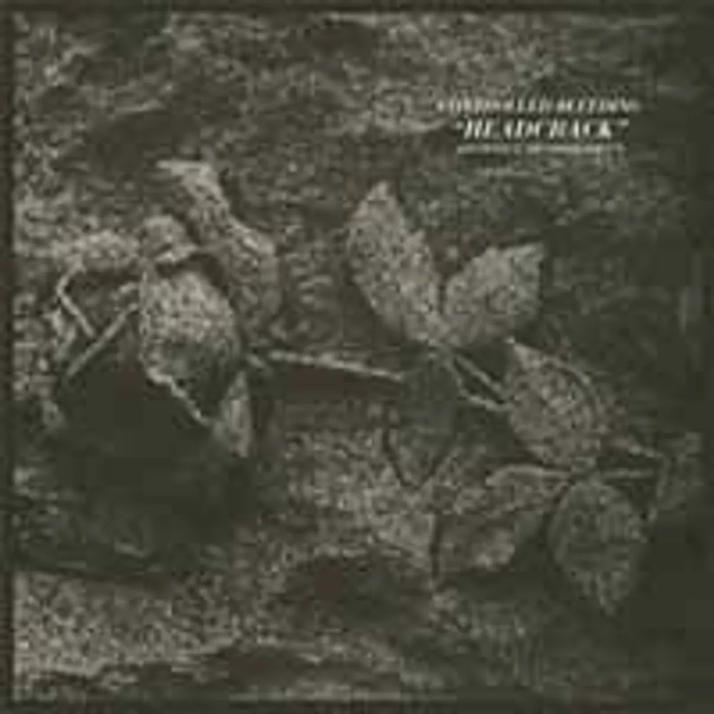 Controlled Bleeding LP - Headcrack (Vinyl)