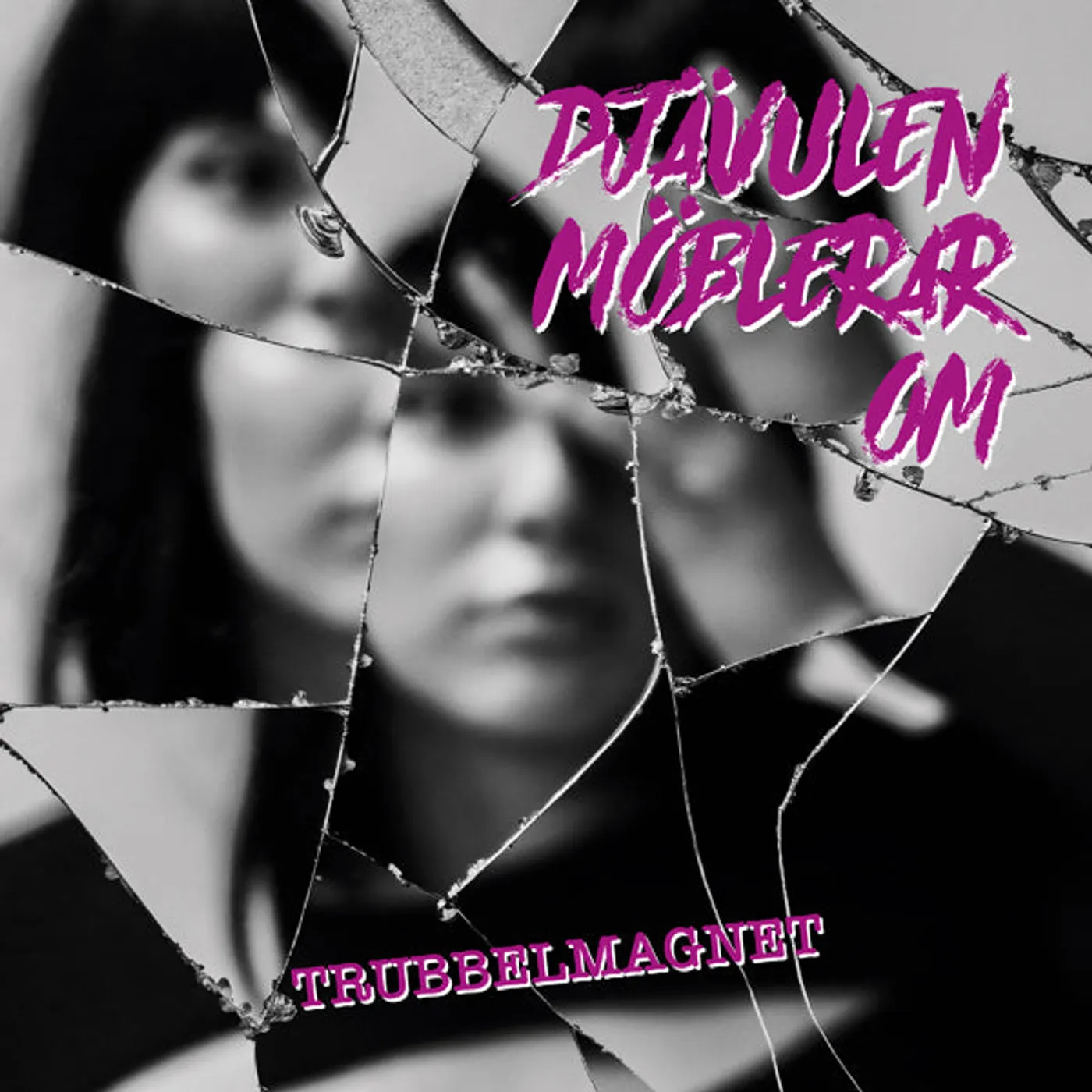 Djävulen Möblerar Om LP - Trubbelmagnet (Vinyl)