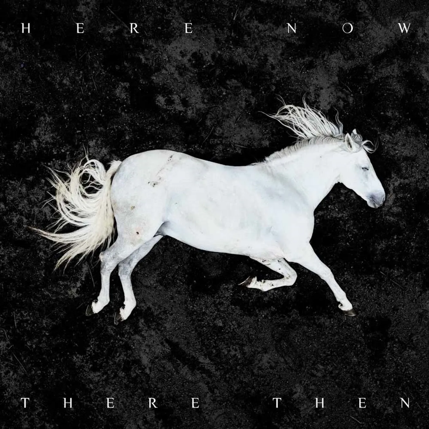 DOOL LP - Here Now, There Then (Vinyl)