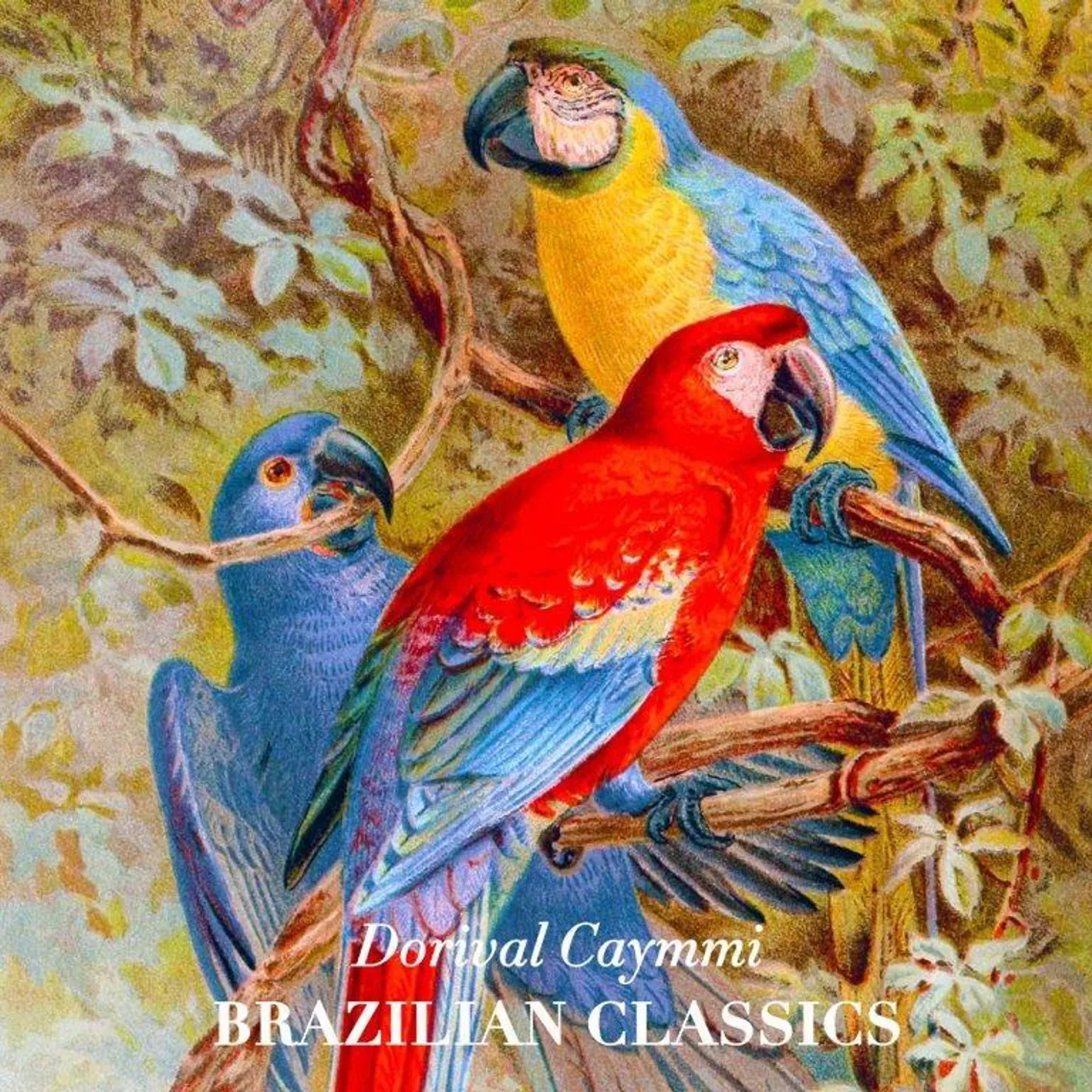 Dorival Caymmi LP - Brazilian Classics (Vinyl)