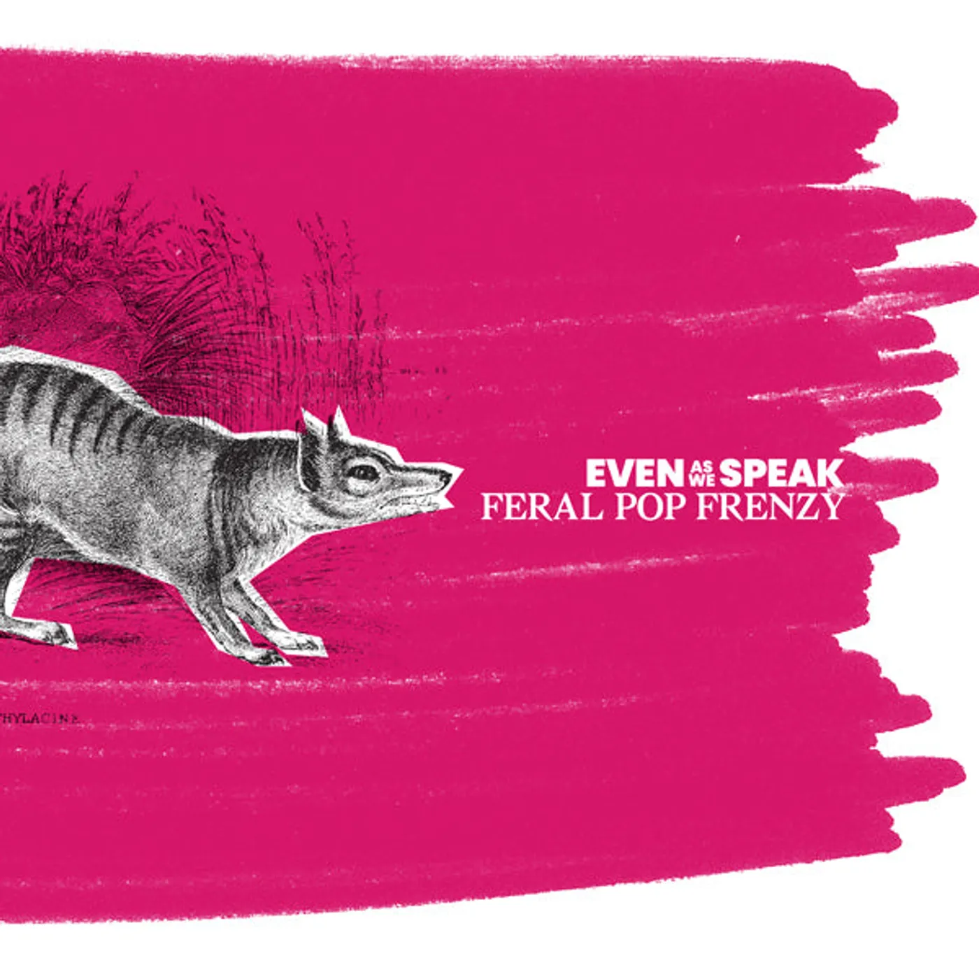 Even As We Speak LP - Feral Pop Frenzy (25Th Remastered Edition) (Vinyl)