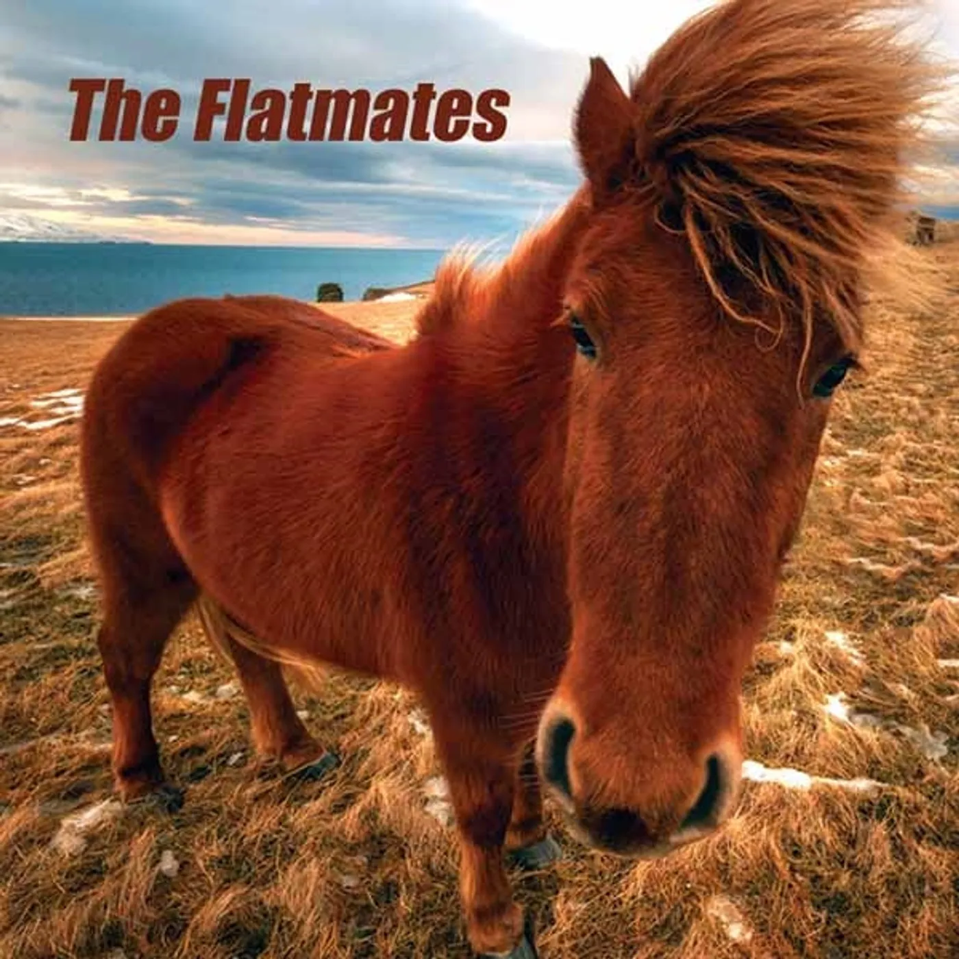 The Flatmates LP - The Flatmates (Vinyl)