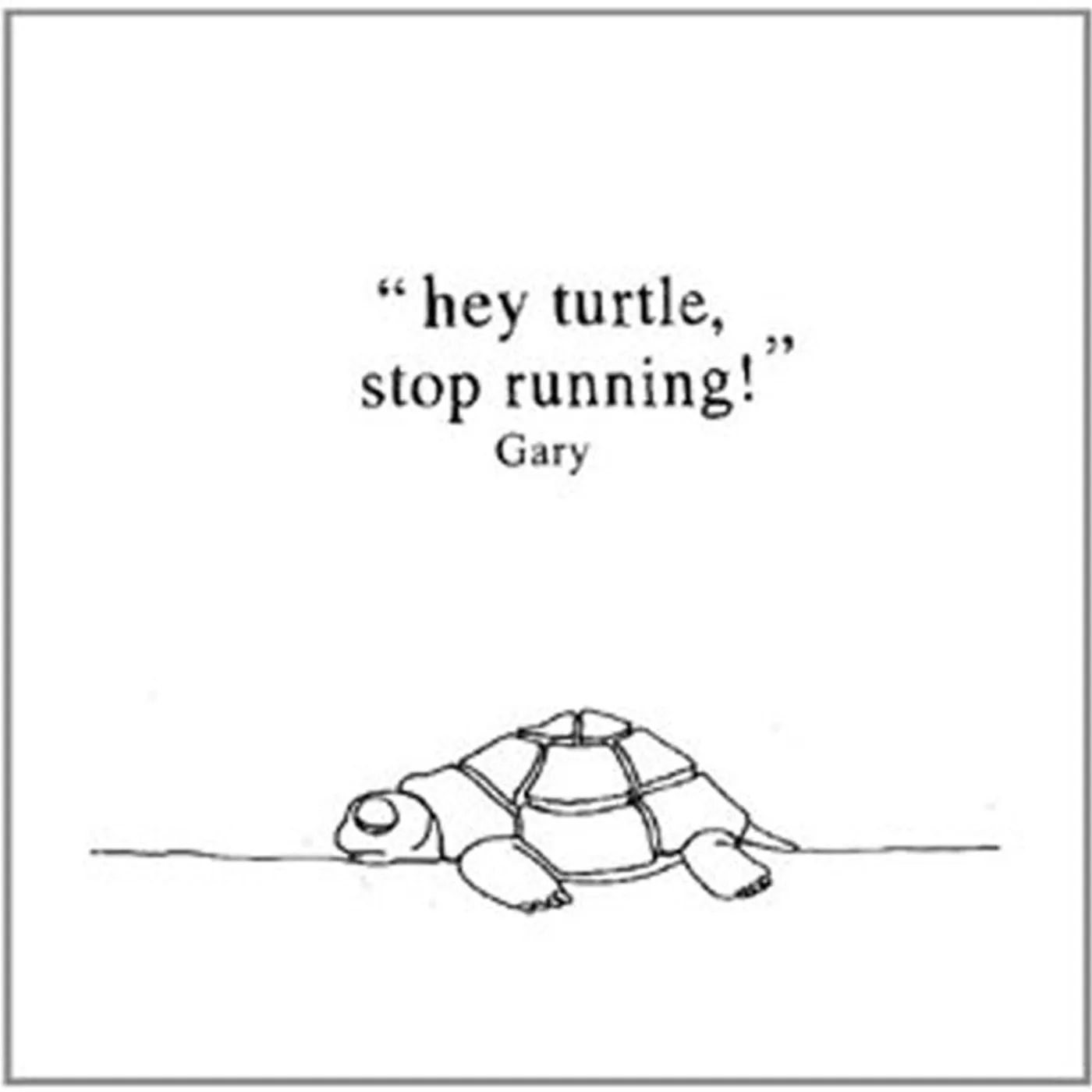 Gary LP - Hey Turtle, Stop Running! (Plus Downloadcode) (Vinyl)