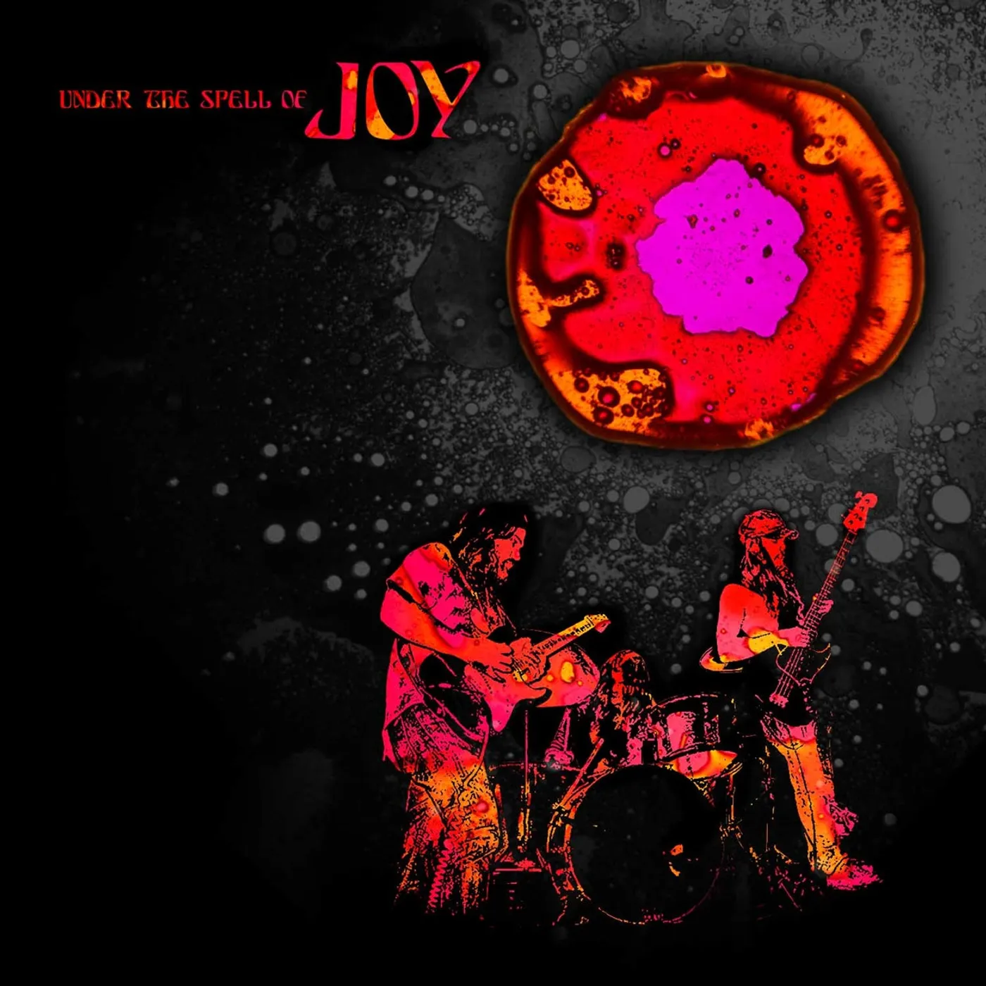 Joy LP - Under The Spell Of Joy (Vinyl)