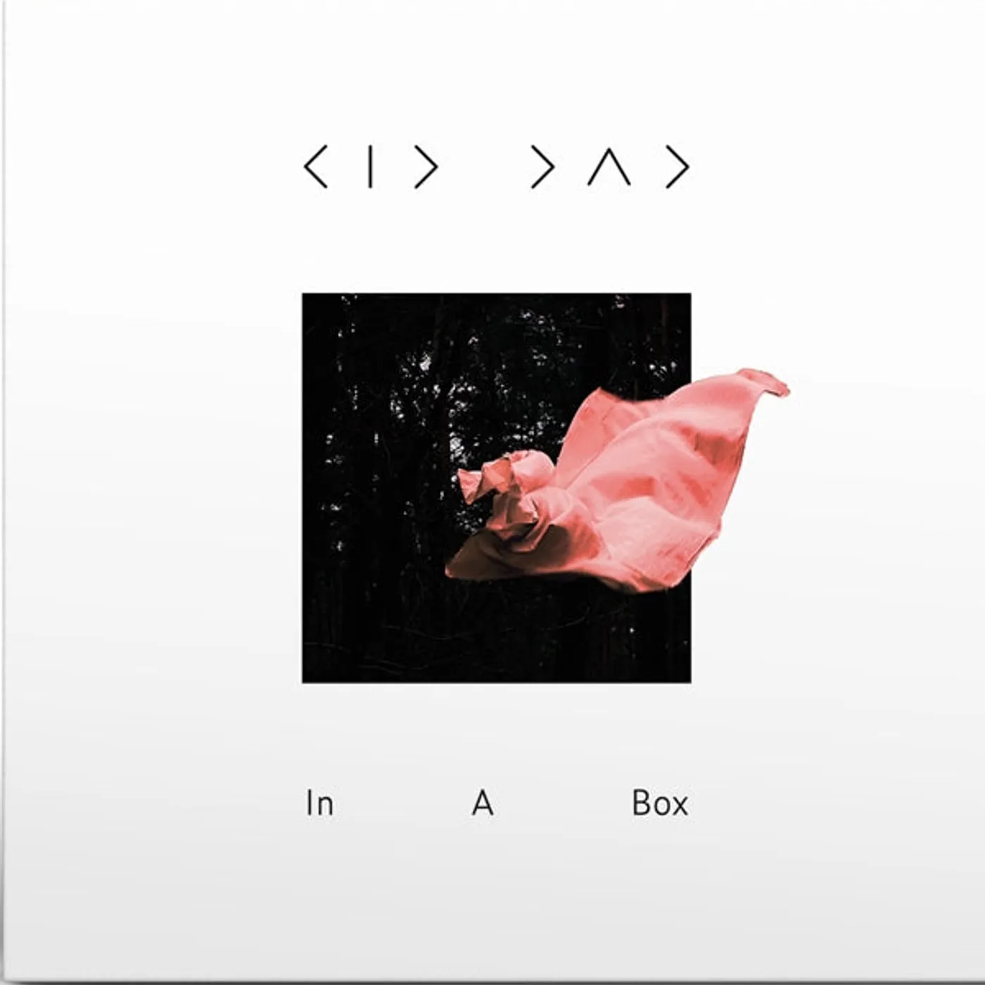 Kid Dad LP - In A Box (Vinyl)