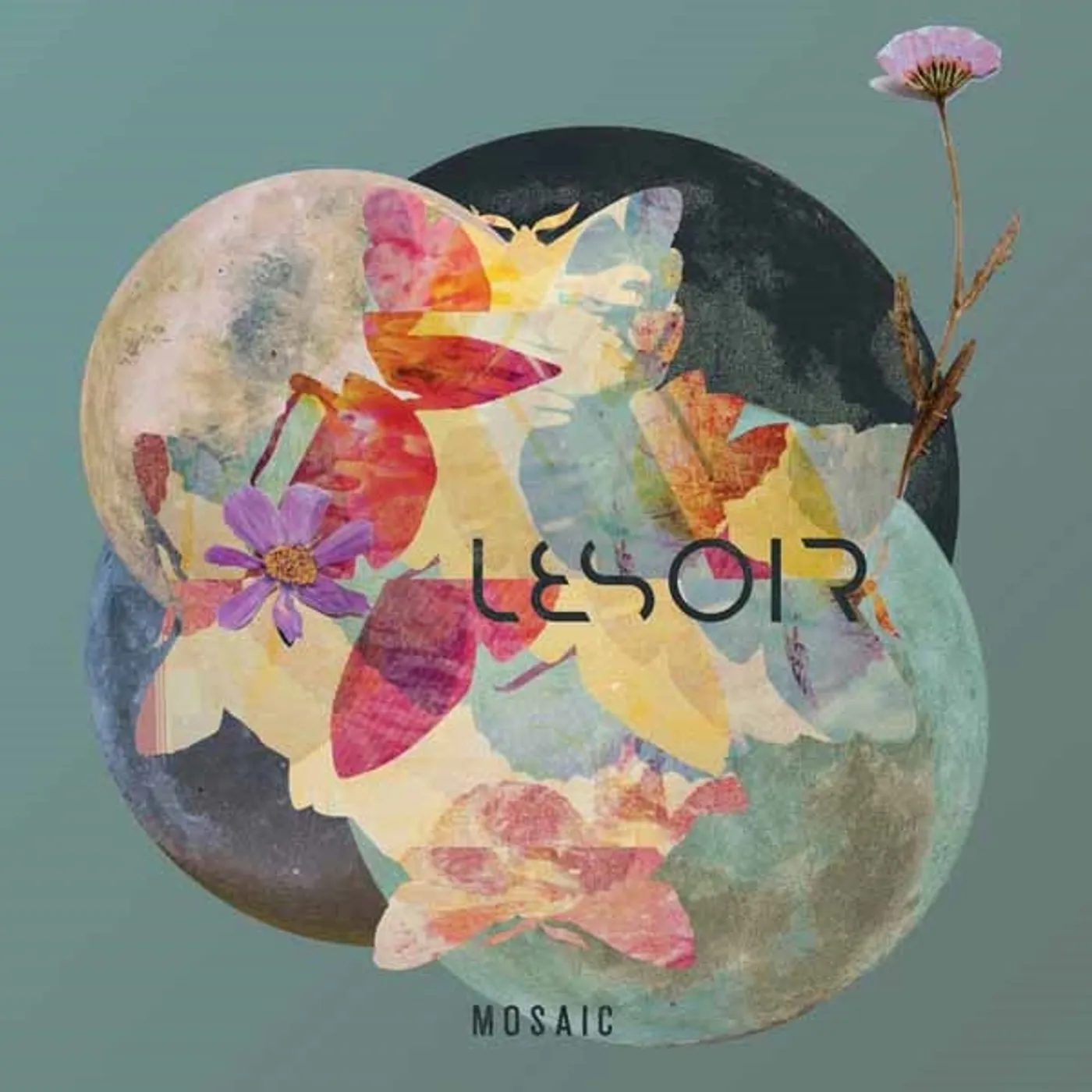 Lesoir LP - Mosaic (Vinyl)