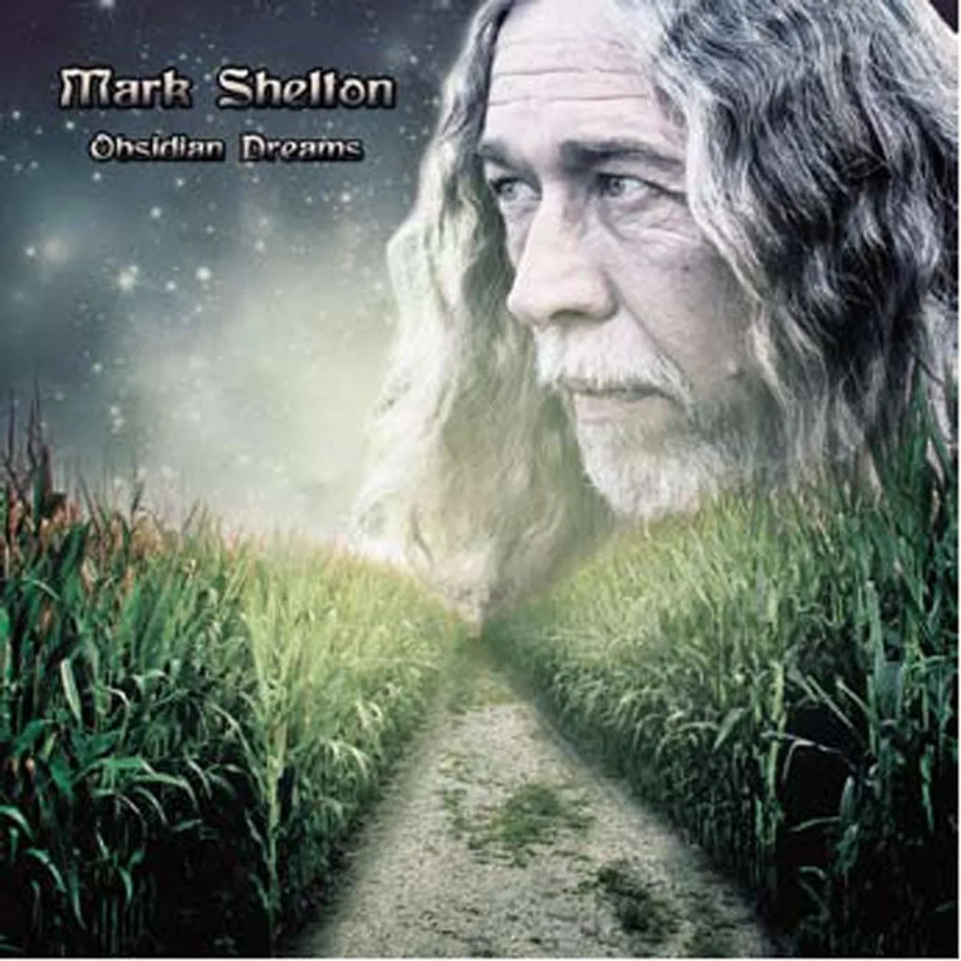 Mark Shelton LP - Obsidian Dreams (Vinyl)