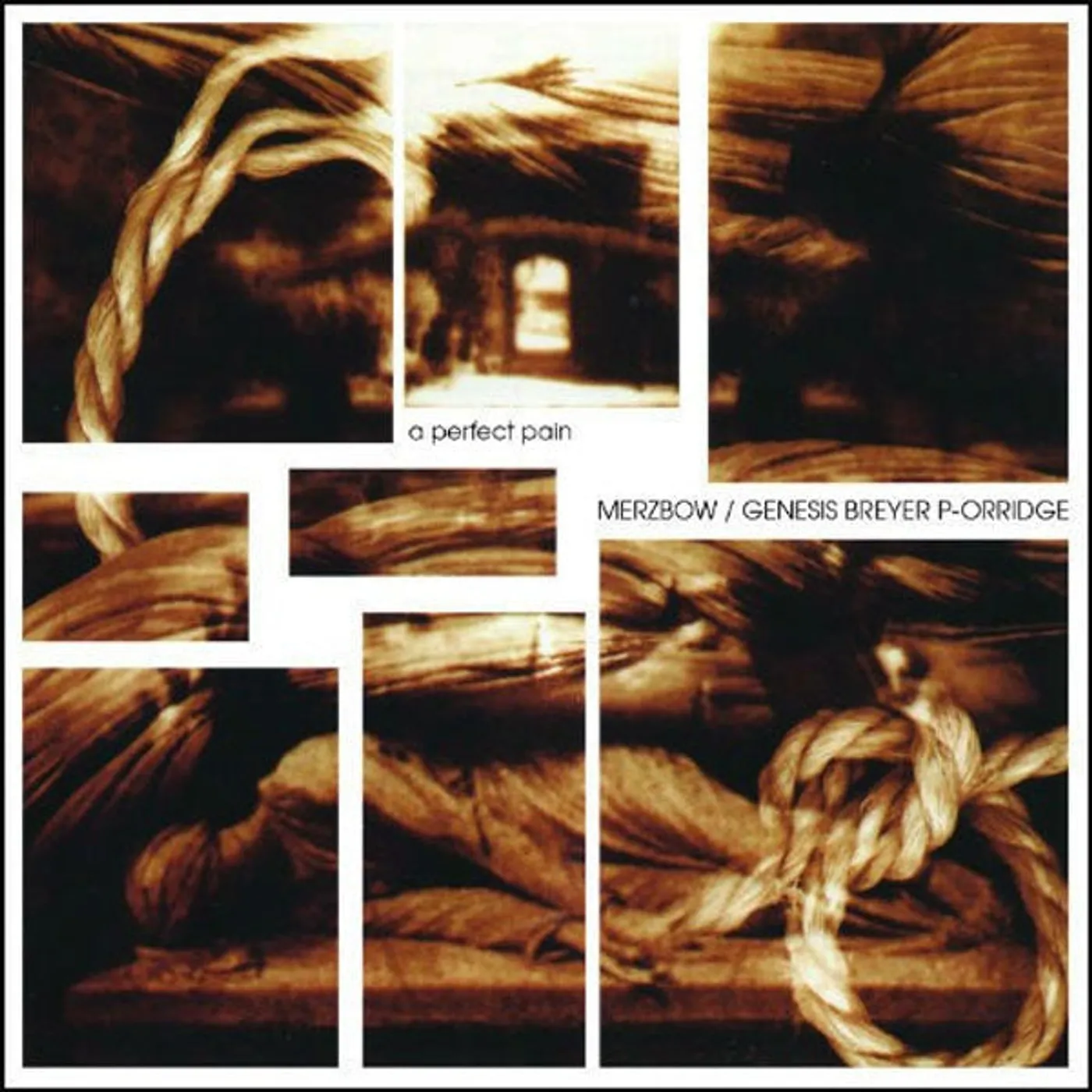 Merzbow / Genesis Breyer P-Orridge